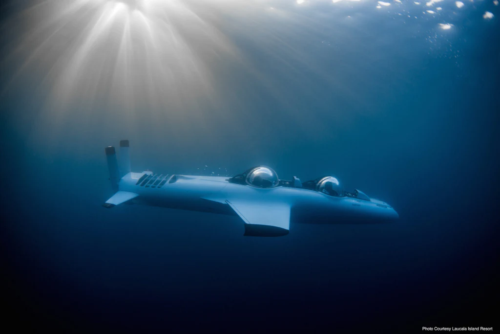 Deep Flight Super Falcon Mark II under the water