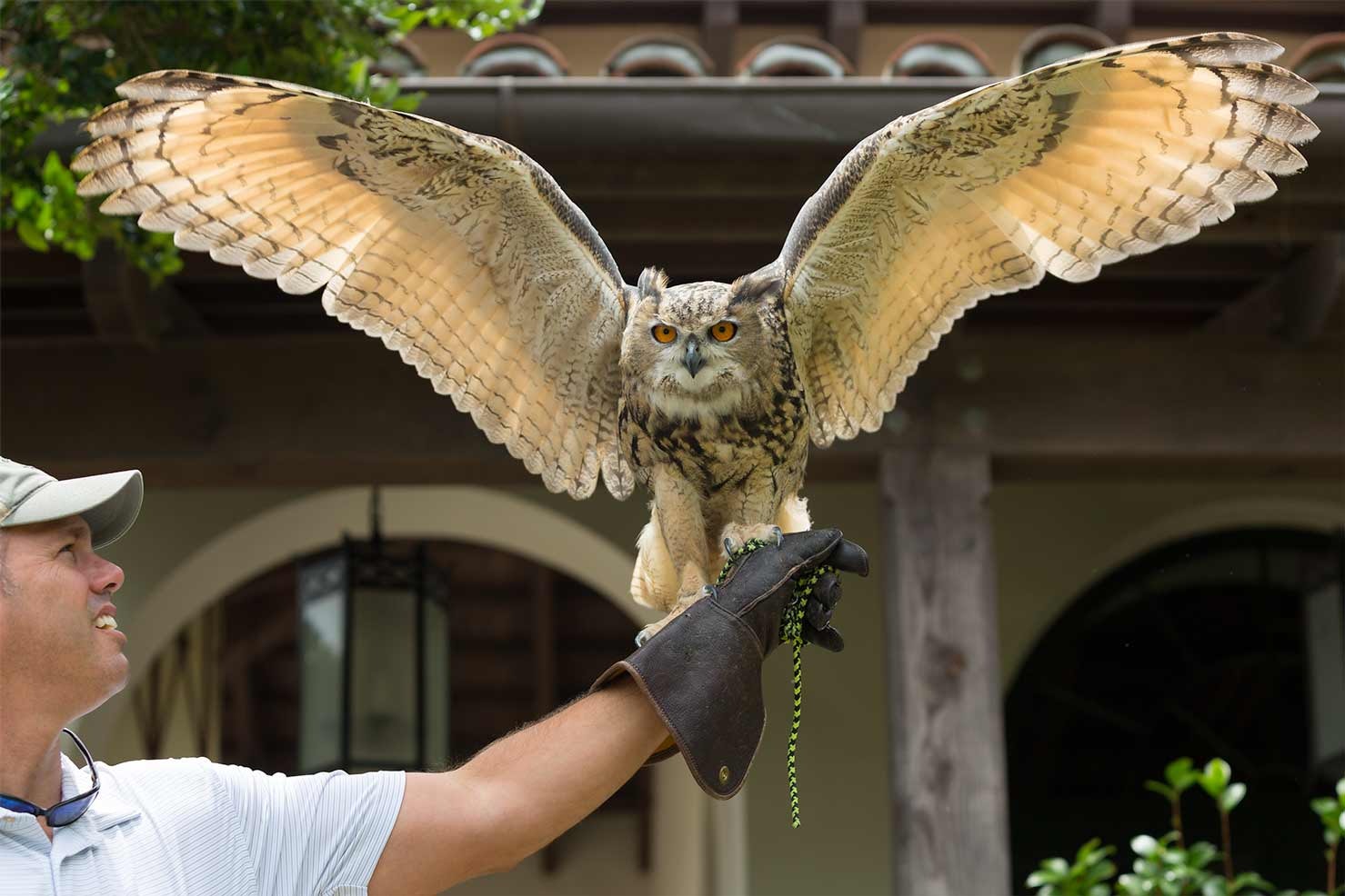 Sea Island Resort in Georgia