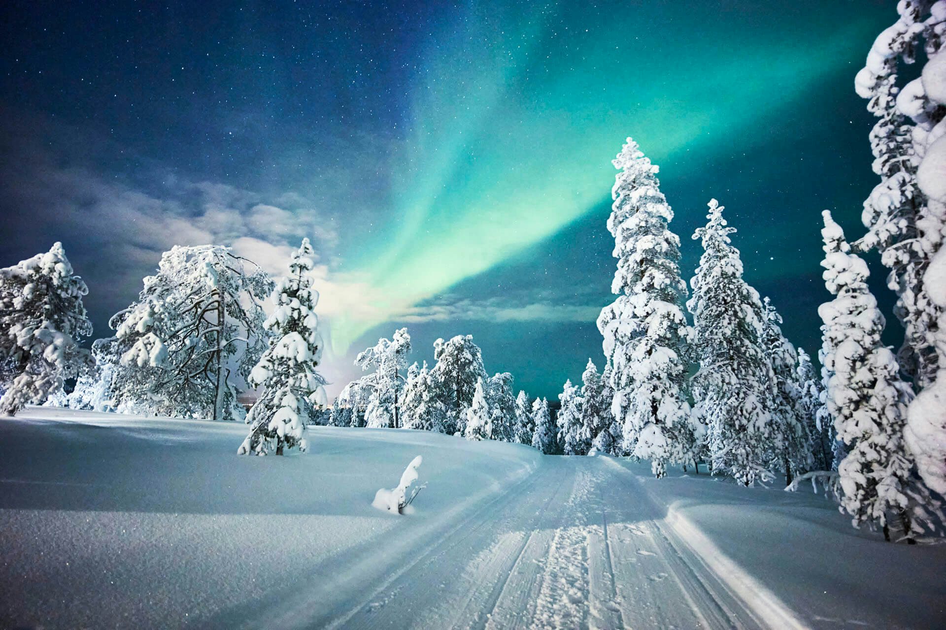 Northern Lights over a Lapland Forest