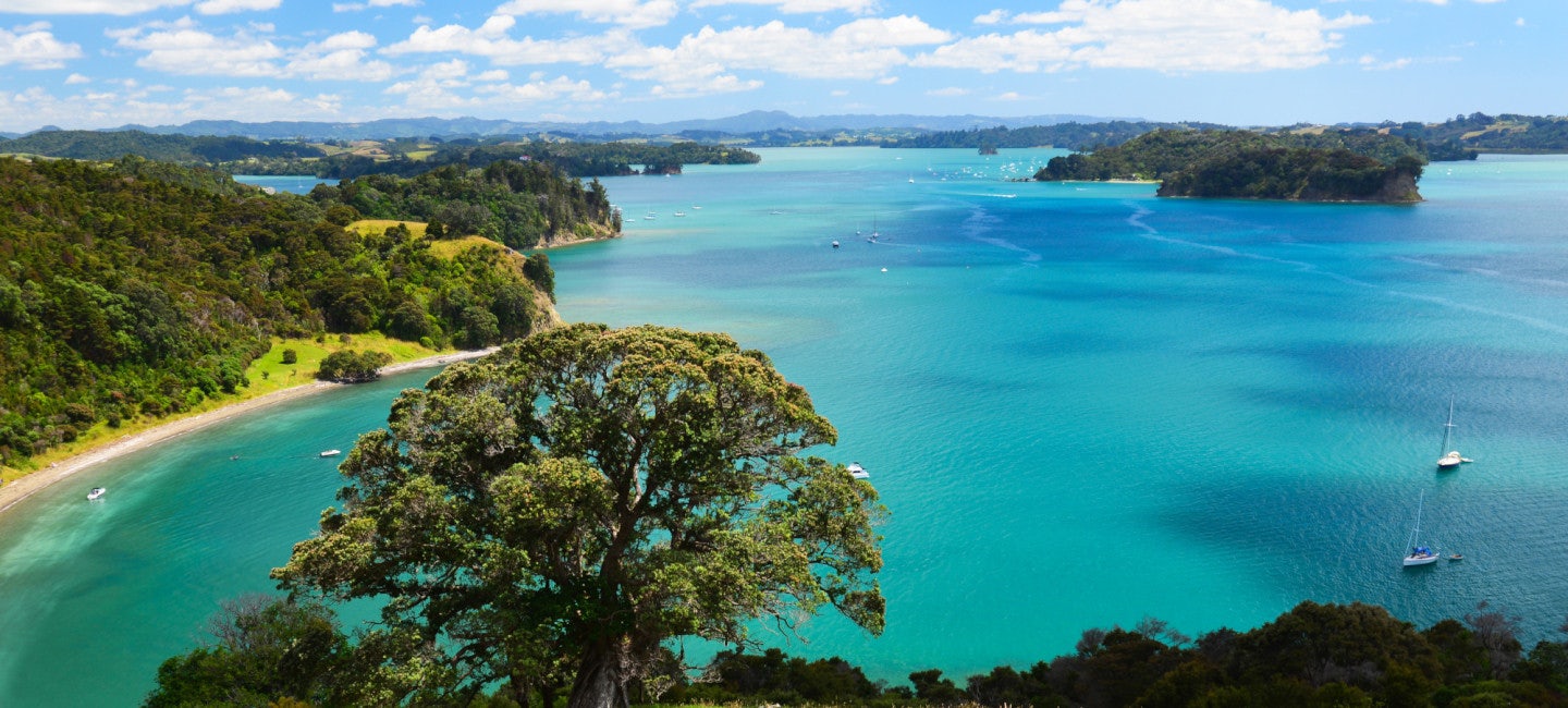 A breathtaking view of the New Zealand landscape with rolling hills, lush greenery, and the azure sea in the background during the Millennium Cup.