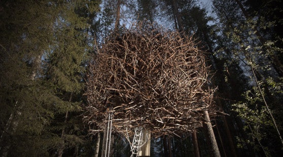 Treehouse Glamping Hotel