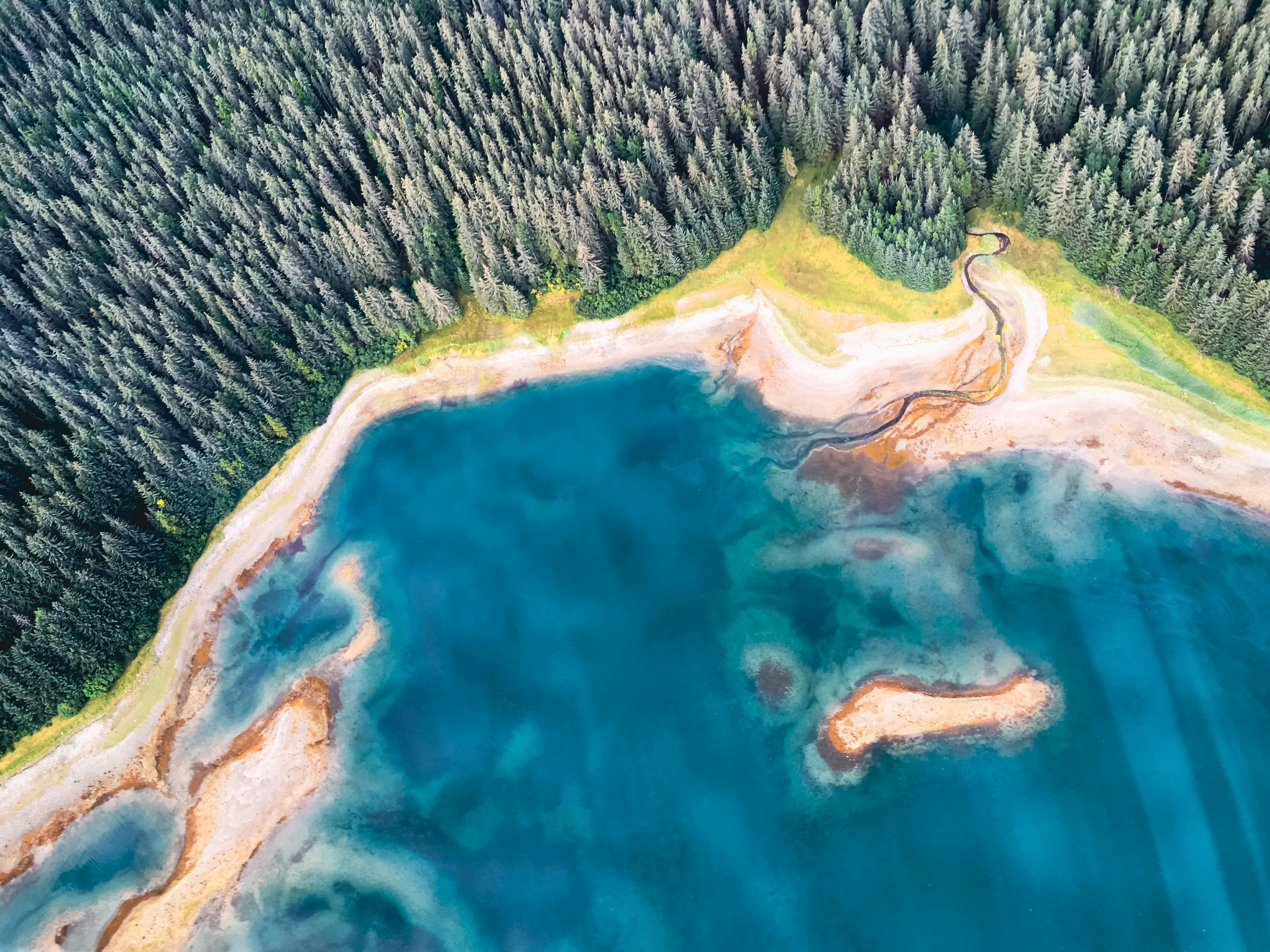 Alaska Superyacht Charter - Bay Las Aguas Yacht Charter