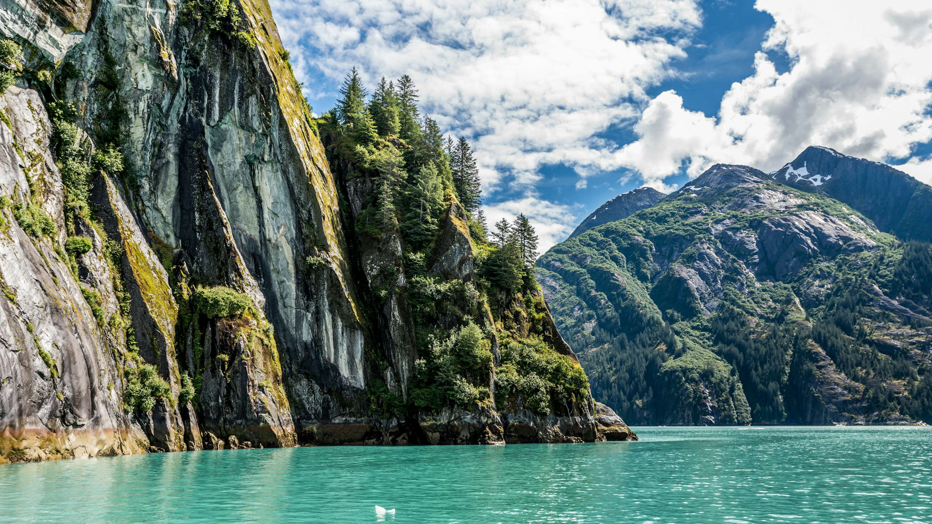 Alaska Yacht Charter - Tracy Arm Cliffs, Alaska, beautfiful lush greenery on cliffs above clear waters