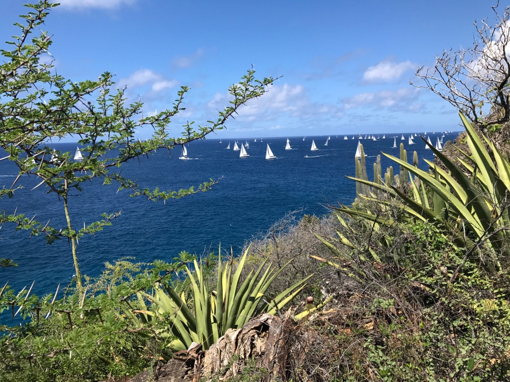 Antigua sailing week with boats offshore