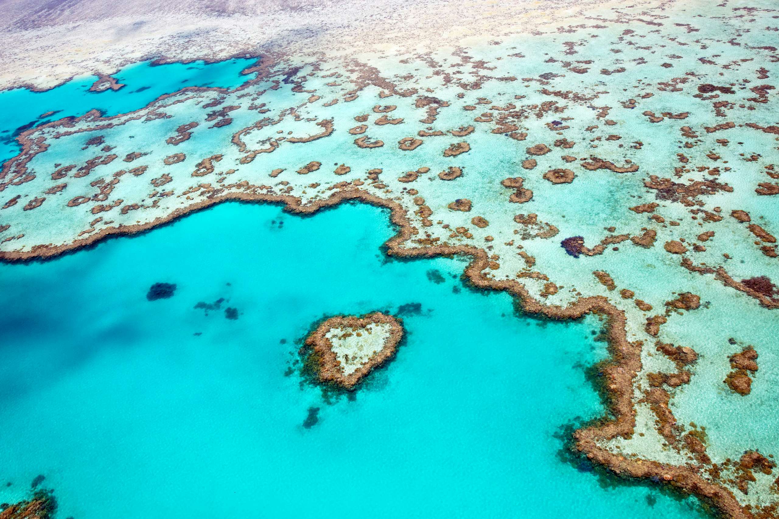 Aerial view of the Great Barrier Reef with a naturally heart-shaped coral formation.