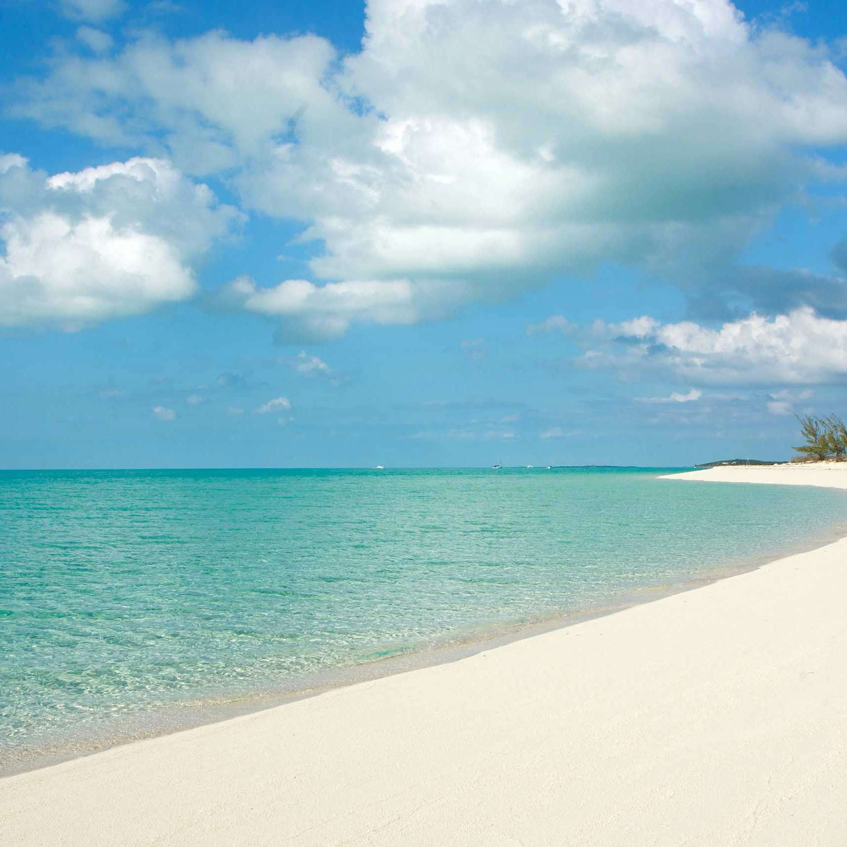 White sand beach at Norman's Cay, Bahamas