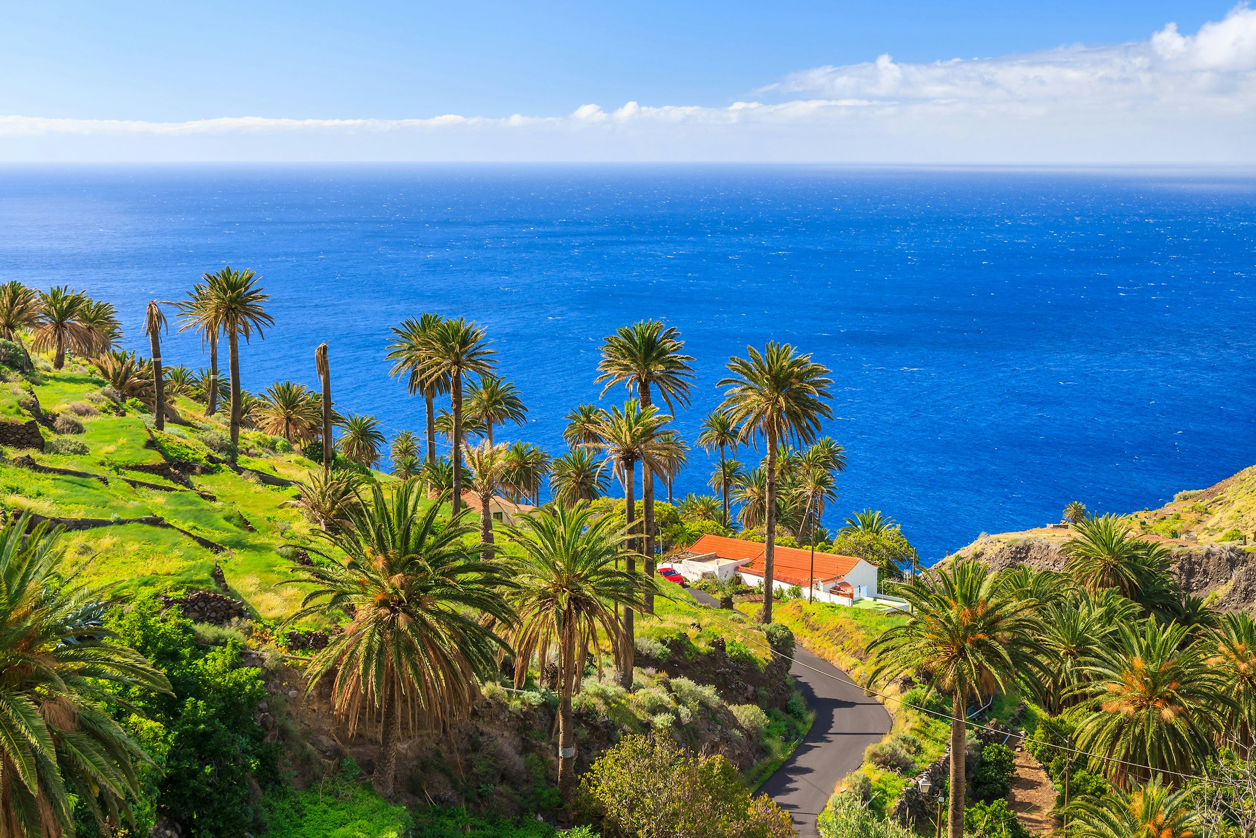 "Tropical Haven: Luxurious Stop for N&J Yacht Charters in Spain" : Palm trees and traditional architecture overlooking the ocean, a luxurious stop for N&J yacht charters in Spain.