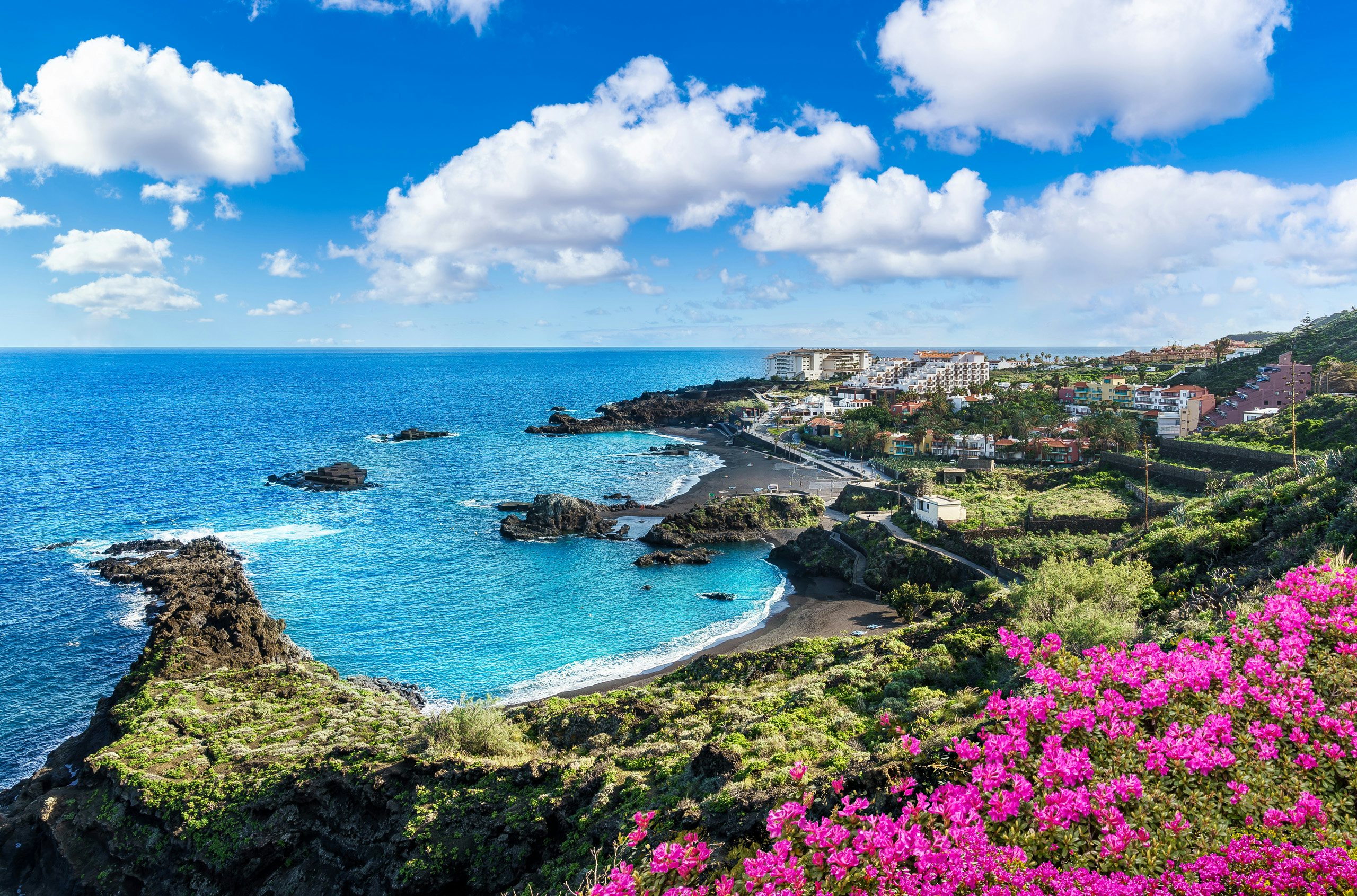 "Serenity Cove: A Yacht Charter Gem in Spain with N&J" Lush pink blossoms framing a serene coastal bay ideal for yacht charters in Spain with N&J.