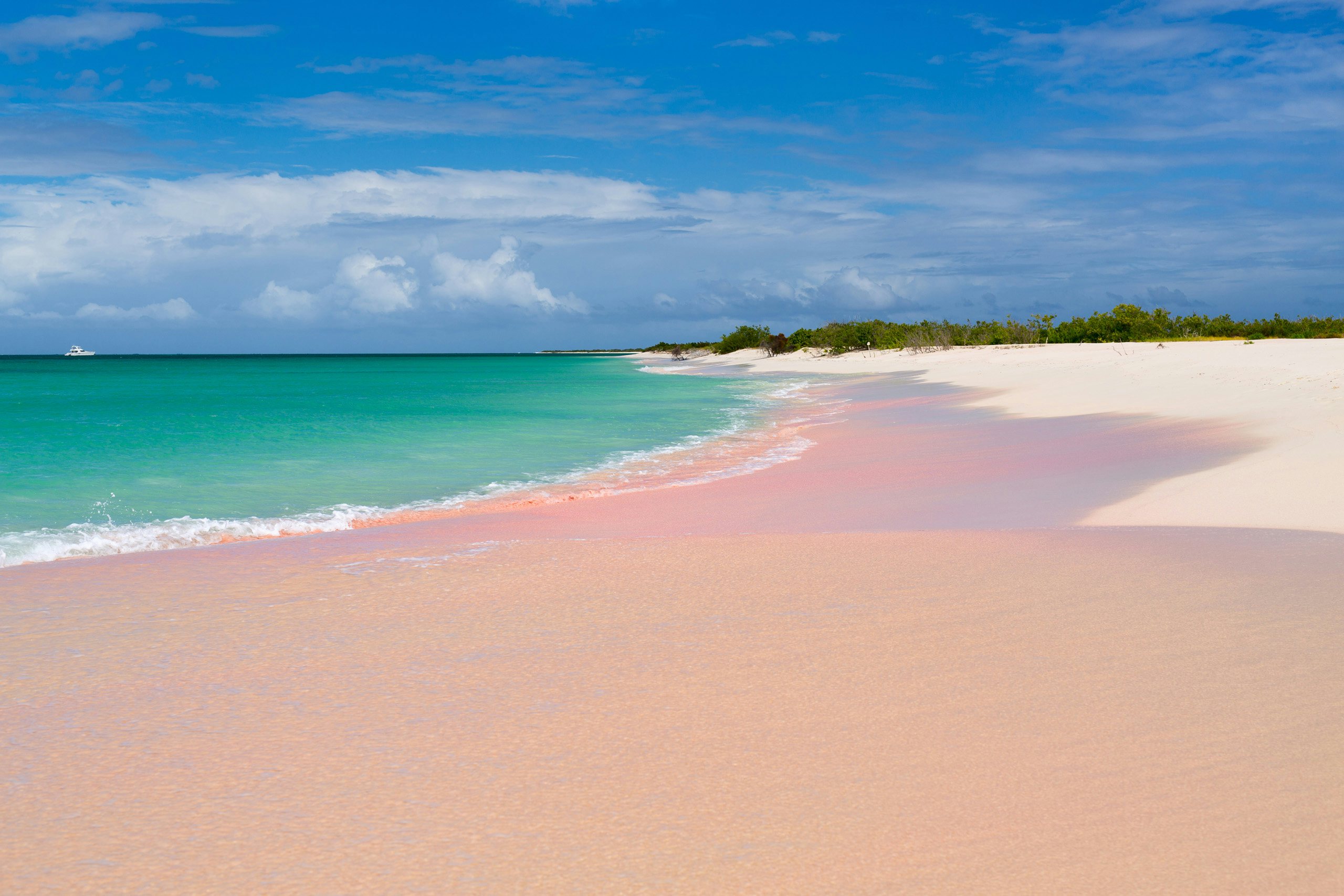 A breathtaking view of Barbuda's Pink Sand Beach, a natural wonder in the Caribbean Leeward Islands.