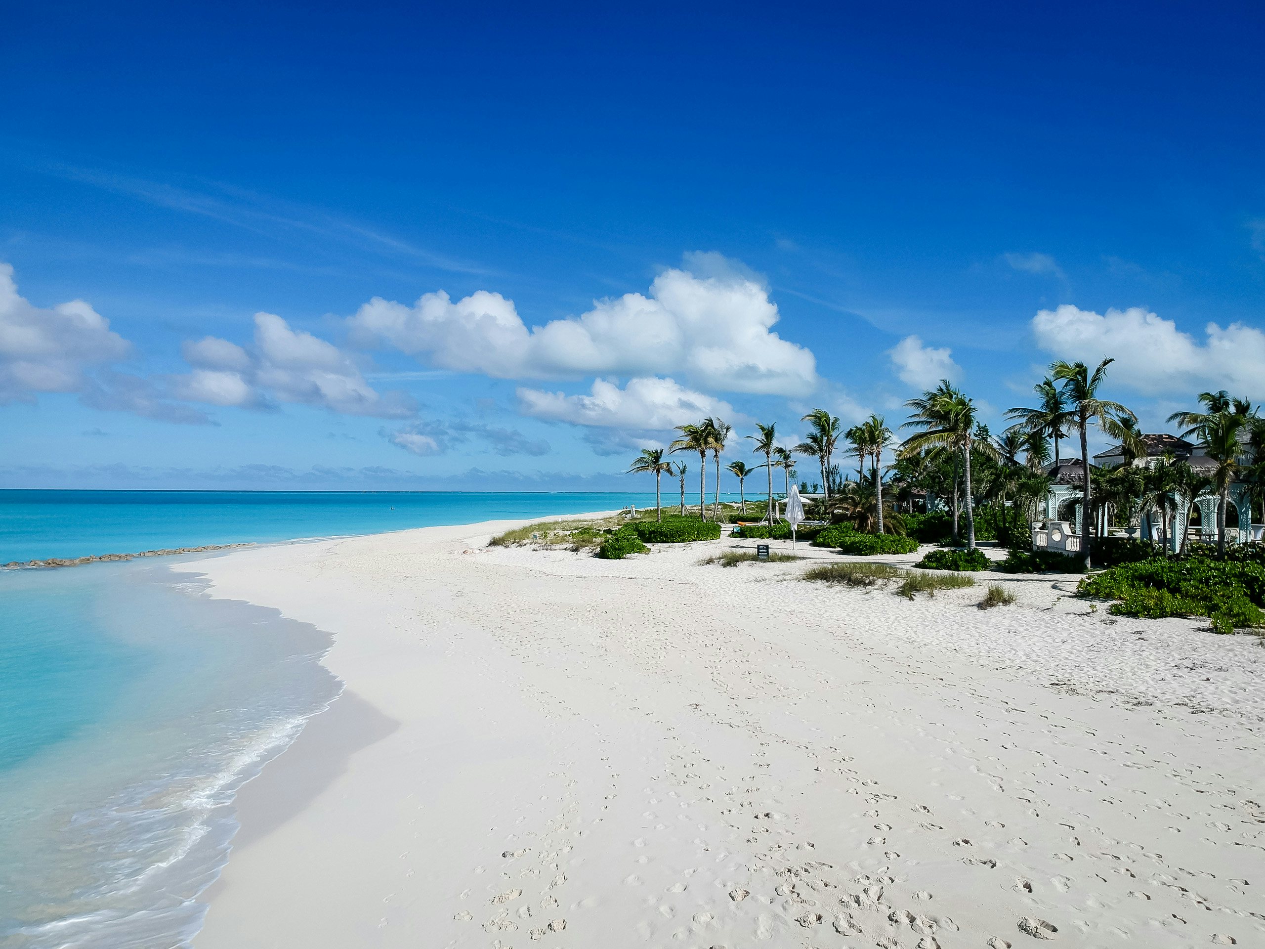 Turks & Caicos  Superyacht Charter - Caribbean_Turks and Caicos_Providenciales_White Sand Beach Turks & Caicos Superyacht Charter - White sand beach fringed by palms and the ocean in Turks and Caicos