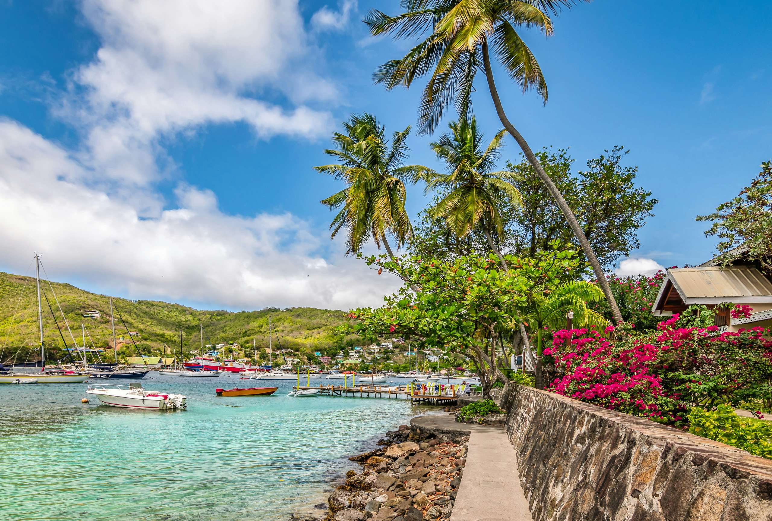 A captivating view of a walkway between the sea, cliff, and vibrant flowers in Bequia, St. Vincent and the Grenadines—a perfect scene for a Grenadines Yacht Charter.