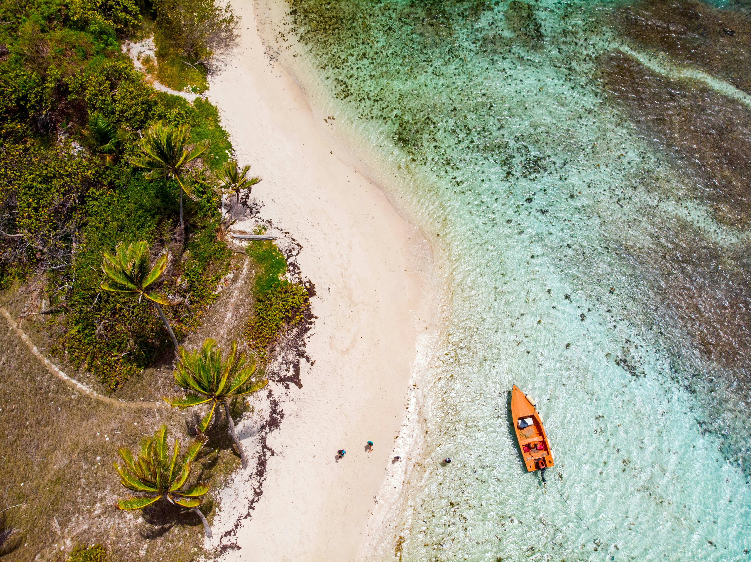 Grenadines Charter Yacht Retreat: Aerial View of Secluded Beach in Tobago Cays An idyllic aerial view of a secluded beach in Tobago Cays, Caribbean, with a yellow boat gently anchored close to the shore—a perfect oasis for your Grenadines Charter Yacht adventure.
