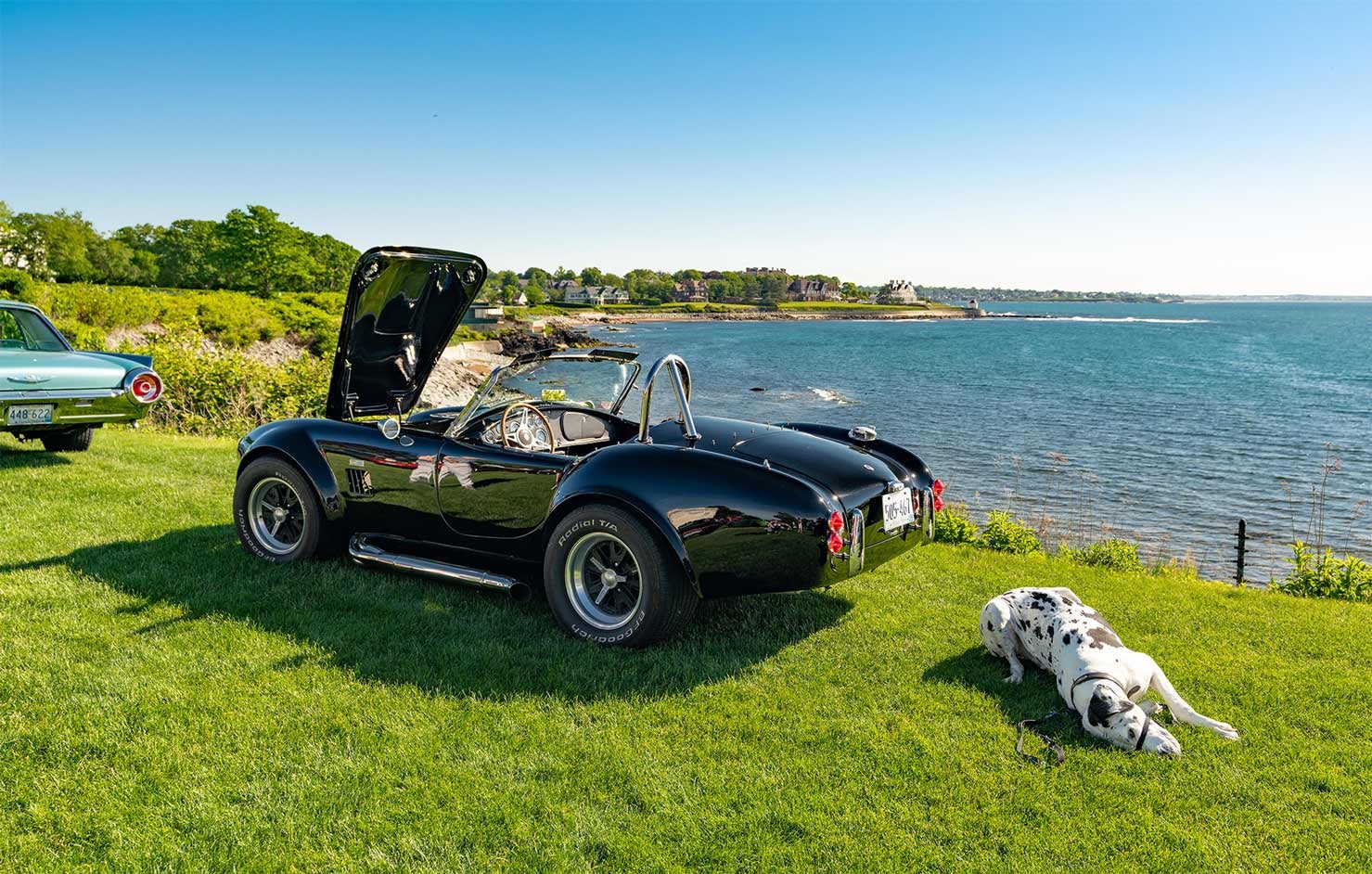 Black classic car with dalmatian dog in the grass