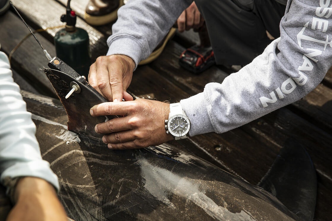 Ulysse Nardin Diver 20 chronograph great white