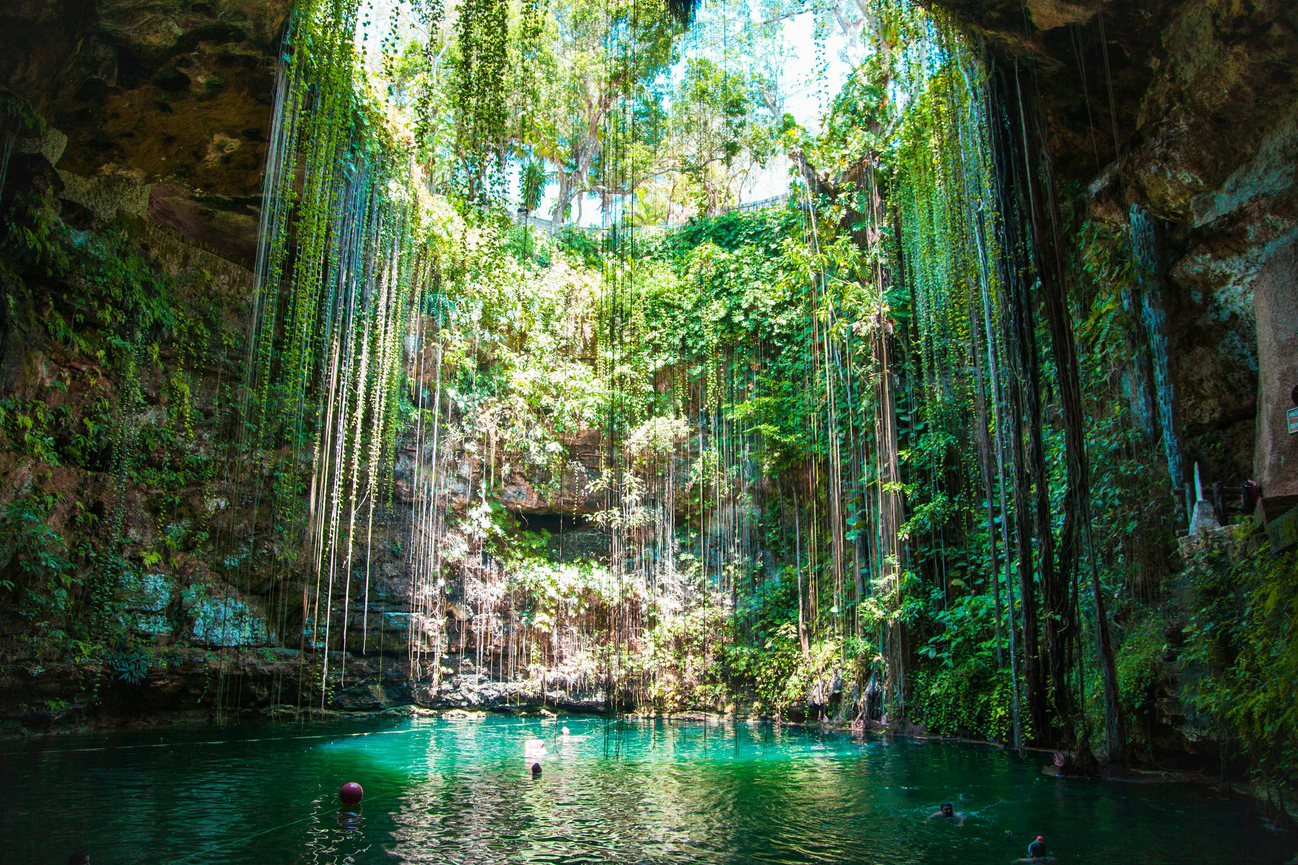 Mexico Crewed Yacht Charter - Mexico,Cenote, mayan riviera enote with lush green vines hanging from the opening and the sun sizzling on the water below