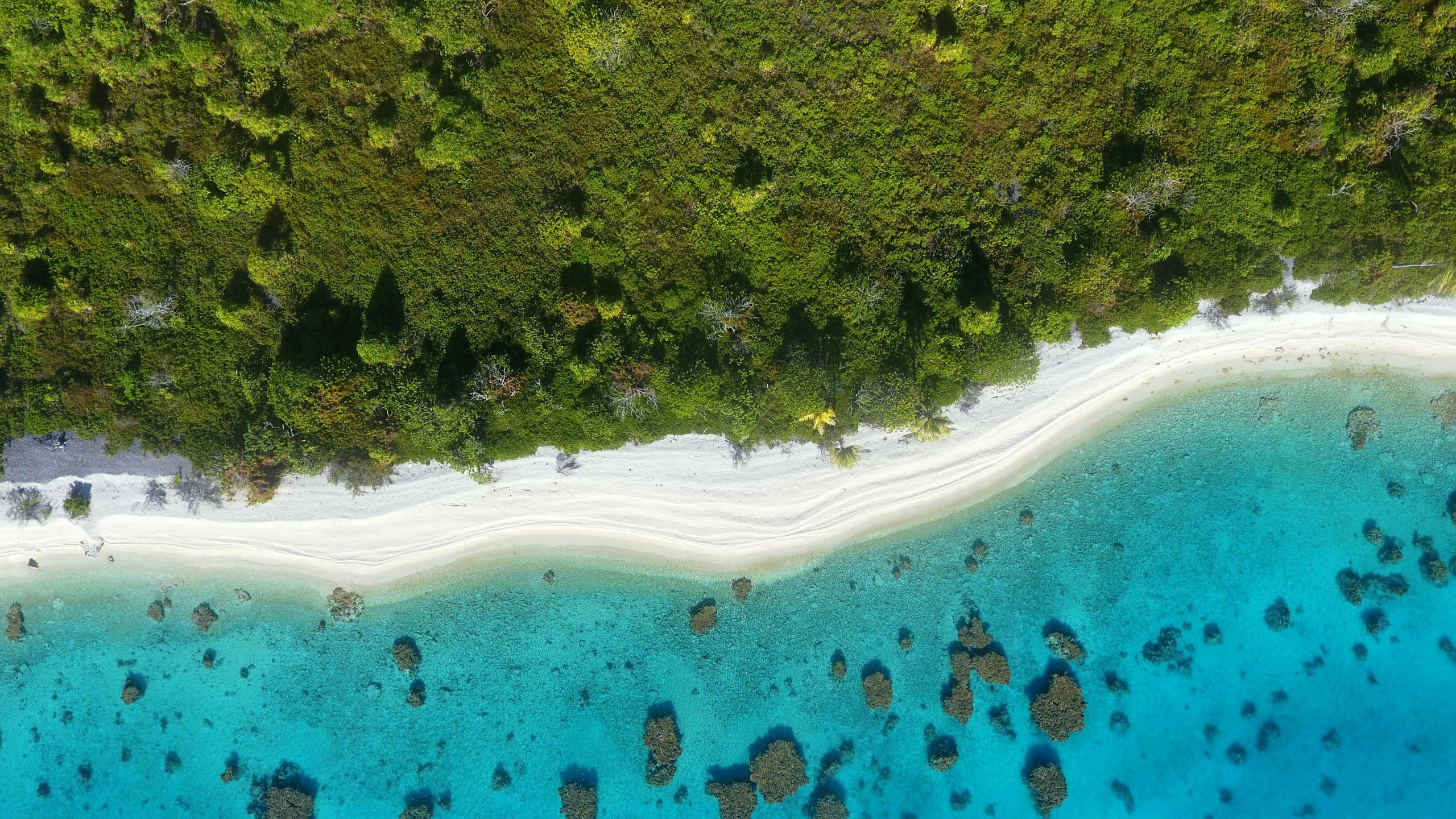 Tuamotu Crewed Yacht Charter -Apataki Tuamotu Crewed Yacht Charter -Tuamotu islands-french polynesia- Apataki- aerial view of white sand against turquoise water