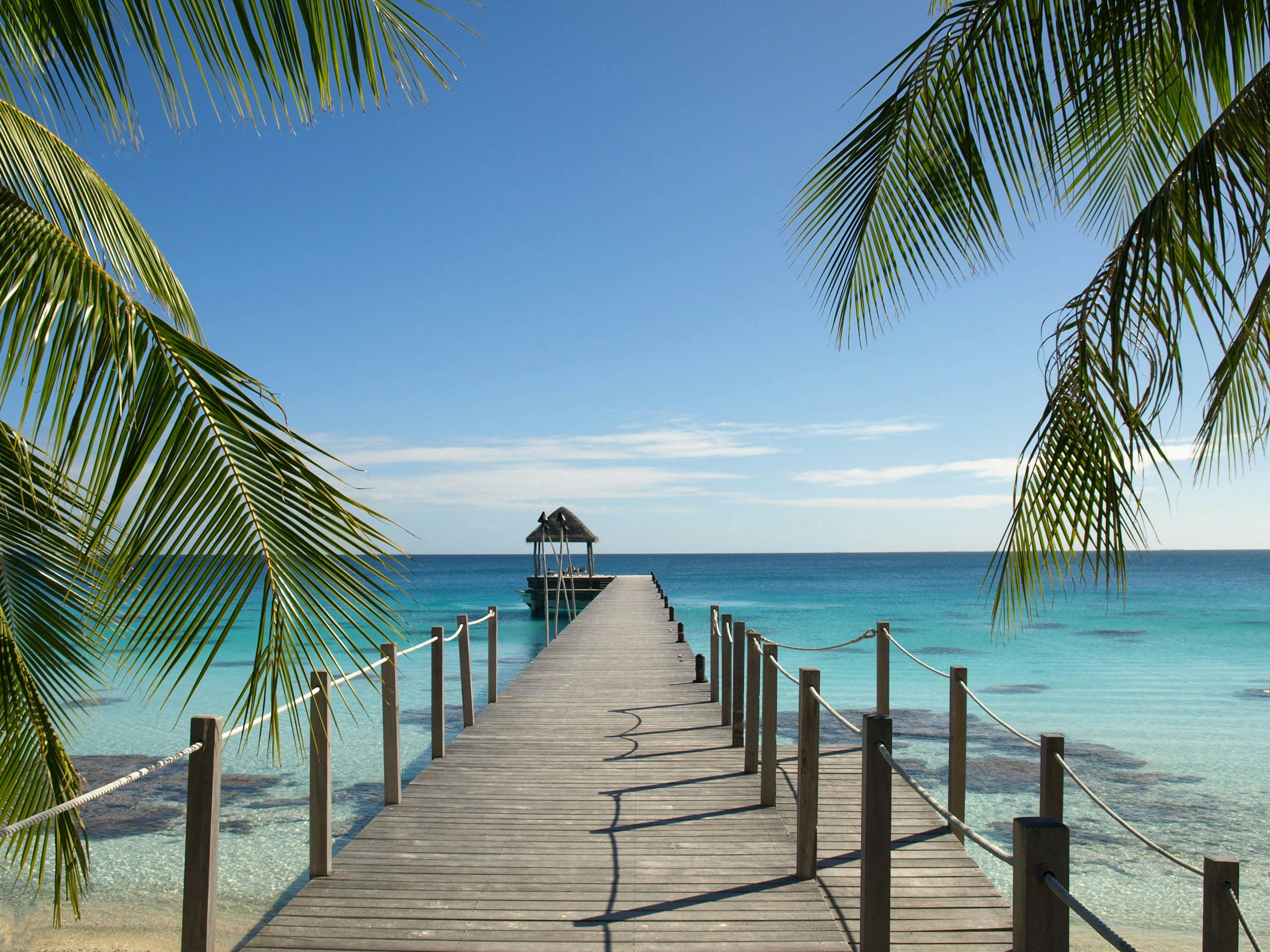 Tuamotu Yacht Charter - Landscape In French Polynesia On The Island Of Fakarava Tuamotu Yacht Charter - Landscape In French Polynesia On The Island Of Fakarava