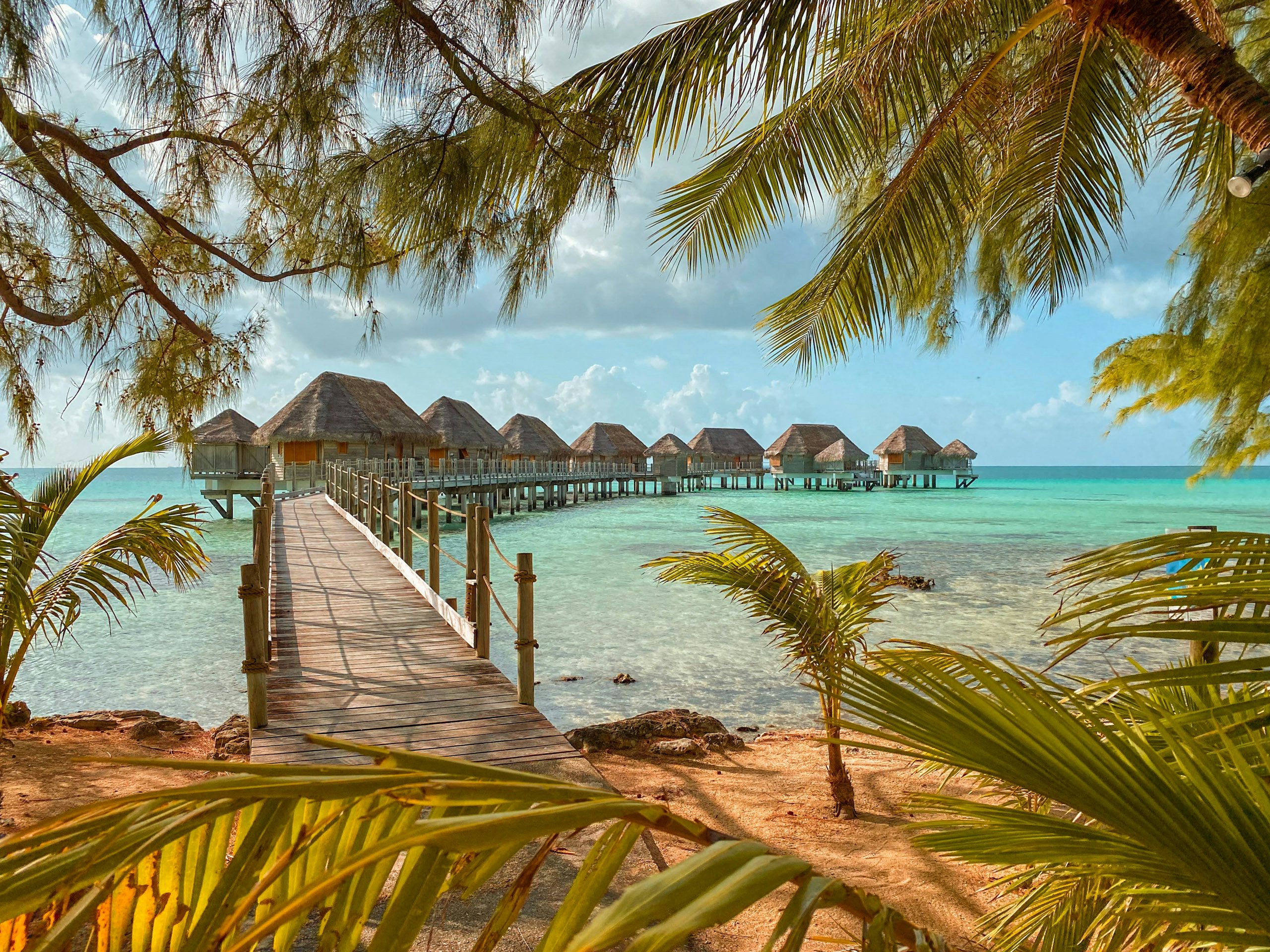 Tuamotu Superyacht Charter - Tropical,Landscape,With,The,Palm,Trees,,Beach,,Overwater,Bungalow,And Tuamotu Superyacht Charter - Tropical,Landscape,With,The,Palm,Trees,,Beach,,Overwater,Bungalow,And