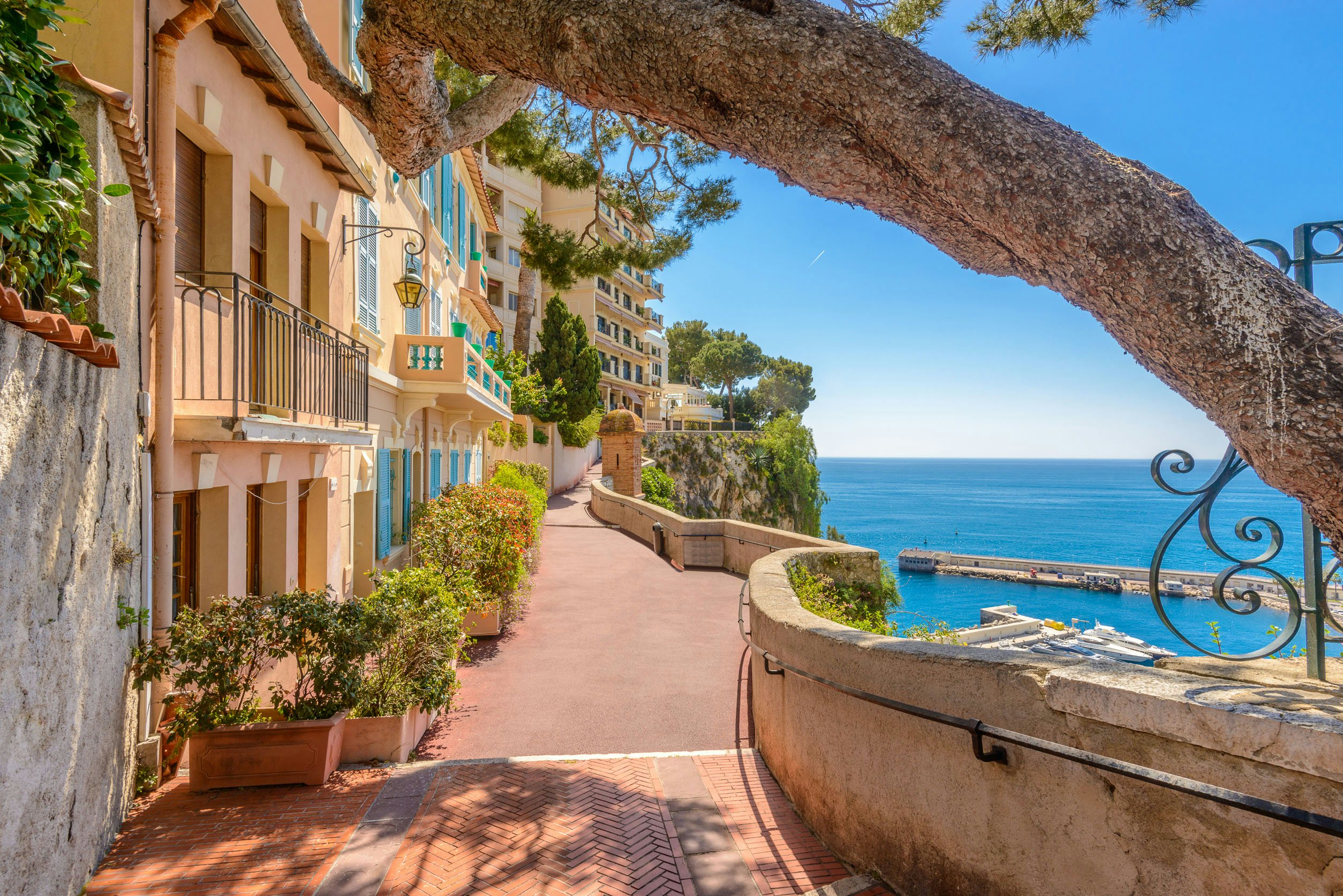 Monte Carlo Terrace Vista - A Yacht Charter’s Dream in Monaco View from a seaside terrace in Monte Carlo, overlooking the Mediterranean Sea, perfect for Monaco yacht charter guests.