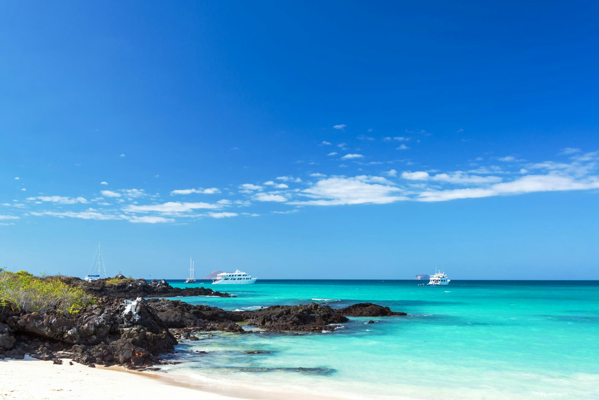Galapagos-Santa-Cruz-Island.jpg