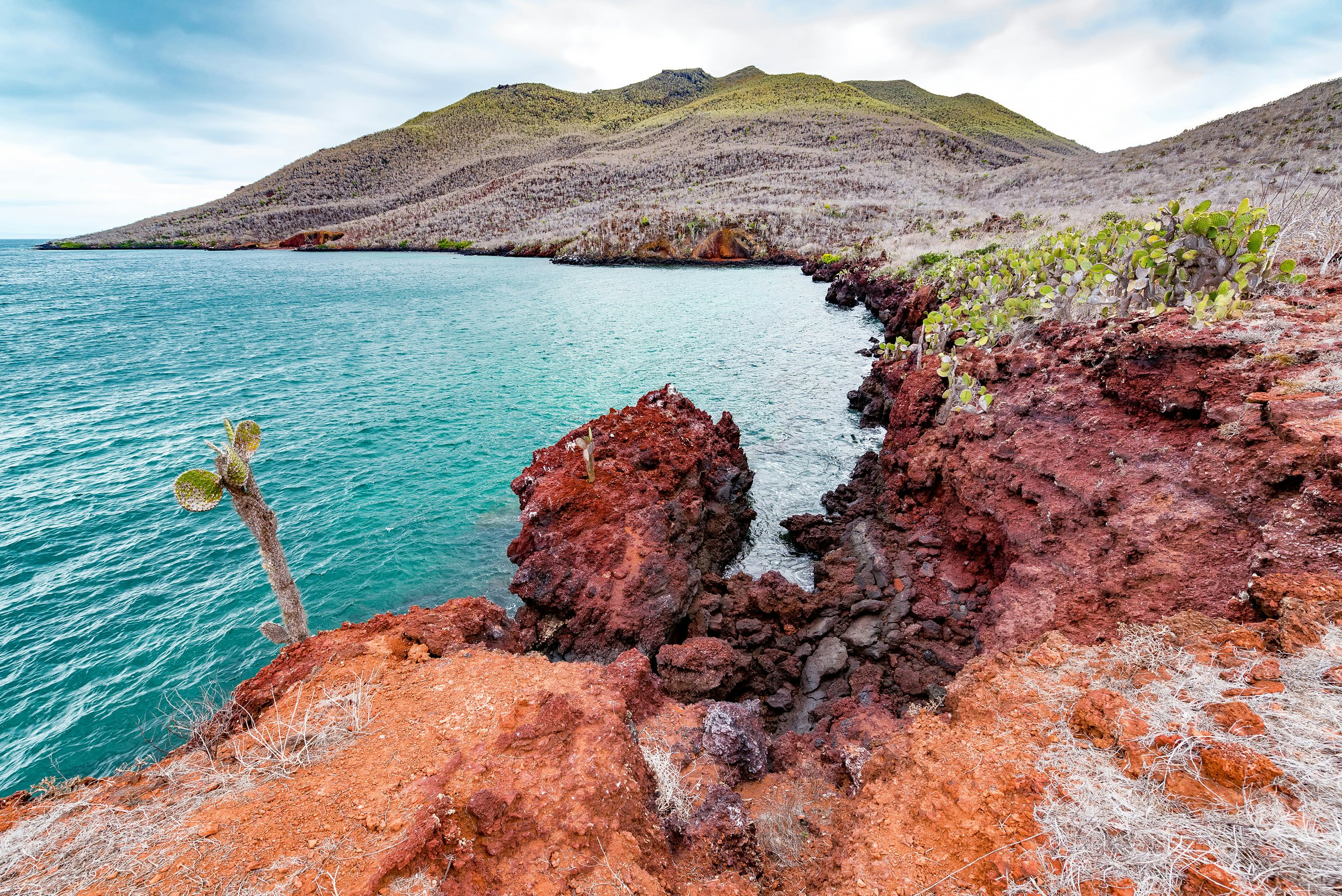 Galapagos Superyacht Charter - Aerial of Santiago Island, Galapagos