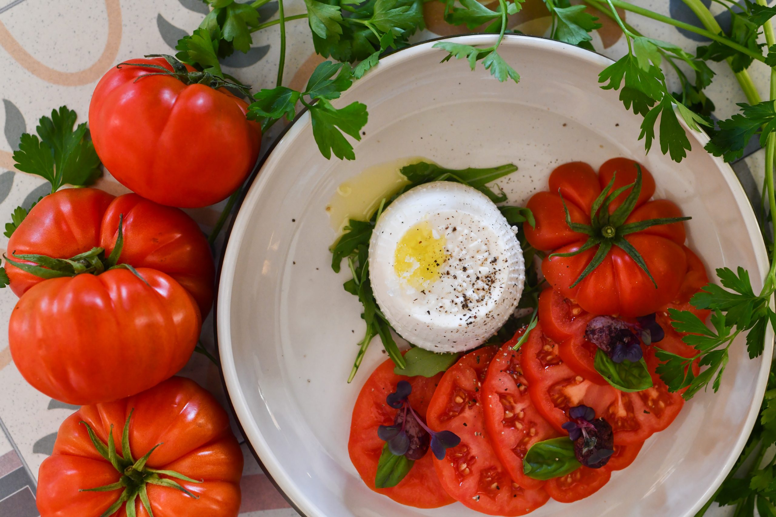 Maltse Tomato and Cheese