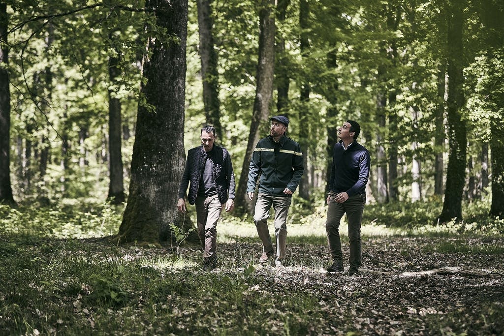 LOUISXIII-COGNACCYCLE-Forest-001