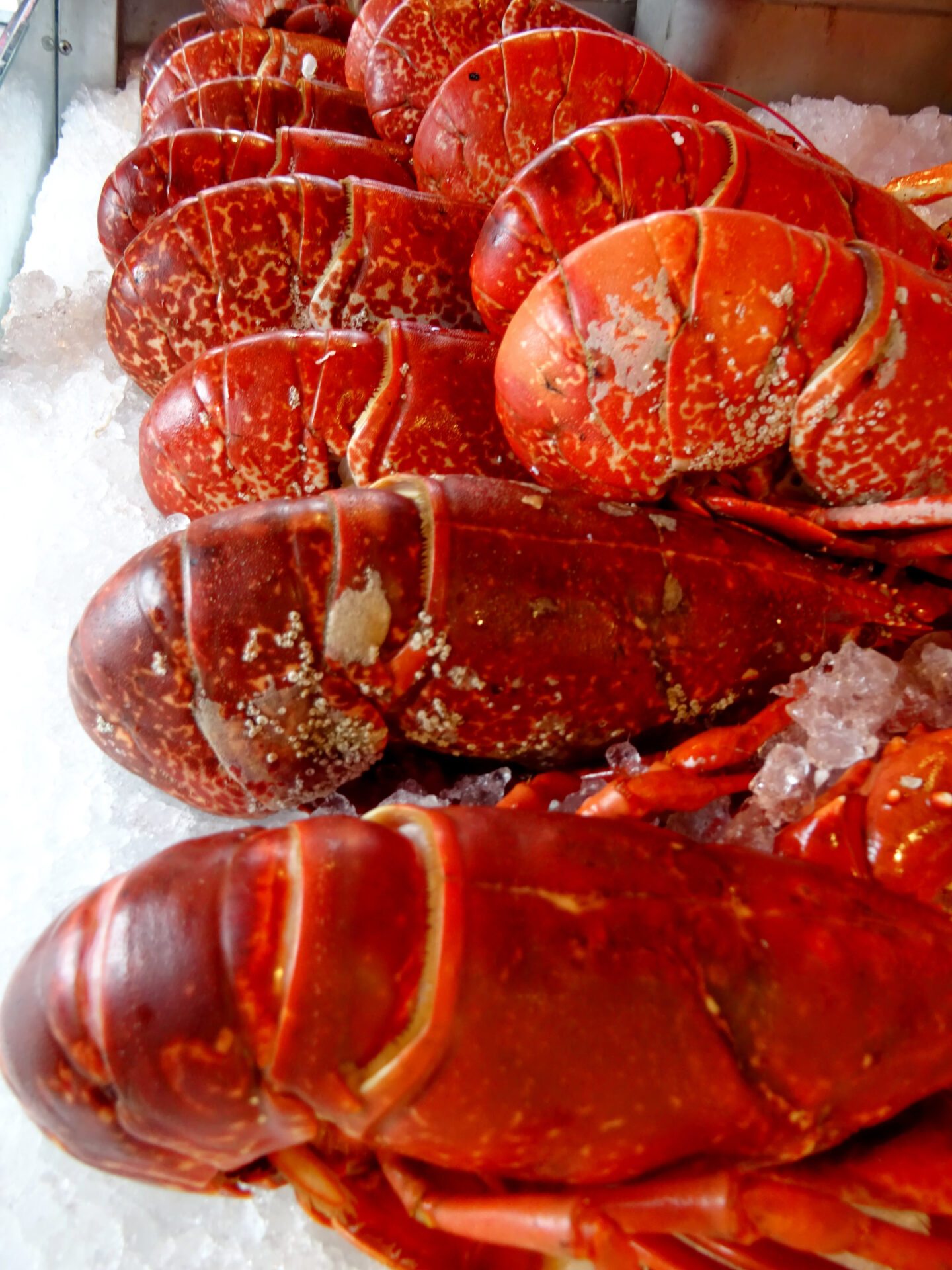 Fisketorget fish market