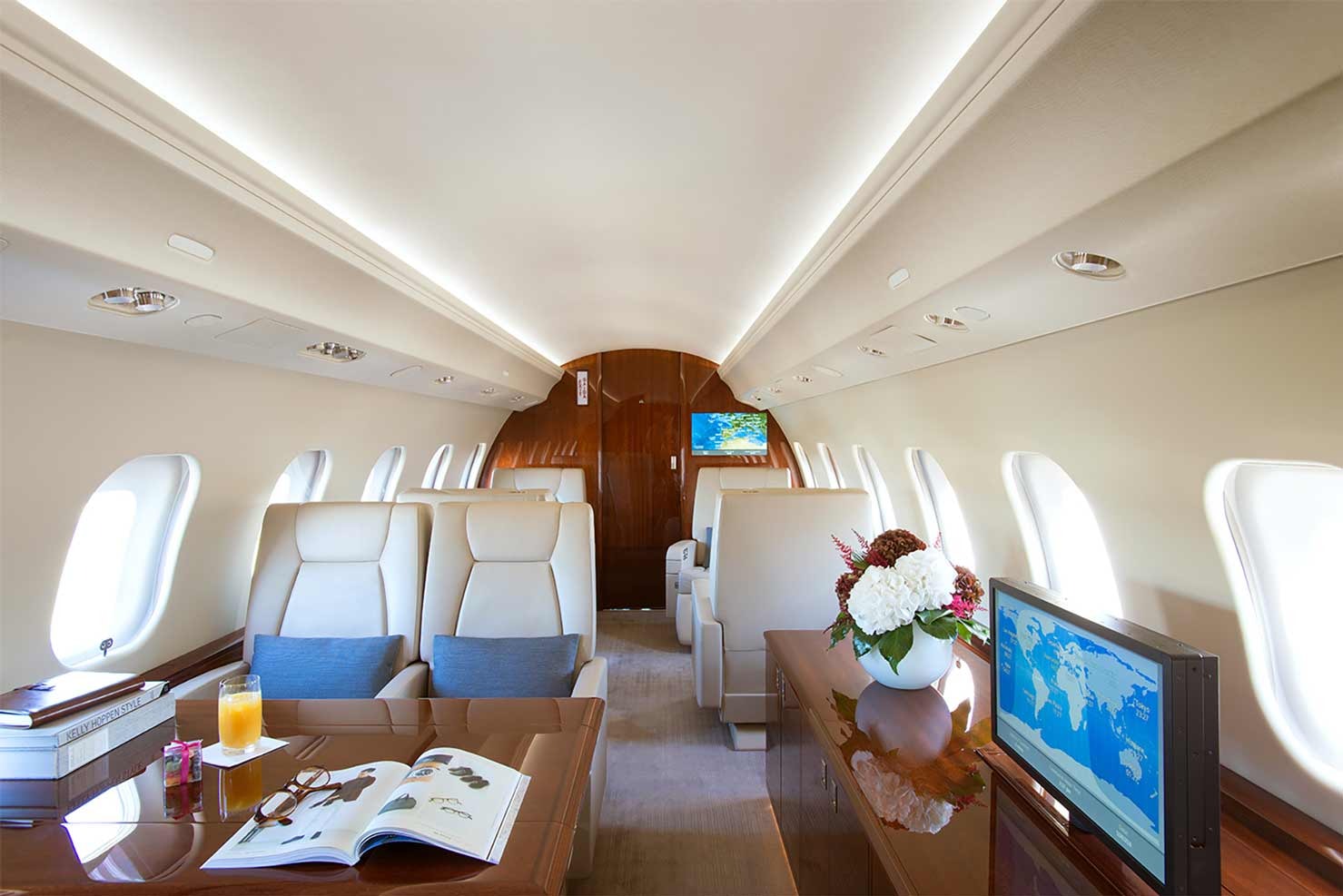 Interior private net jet