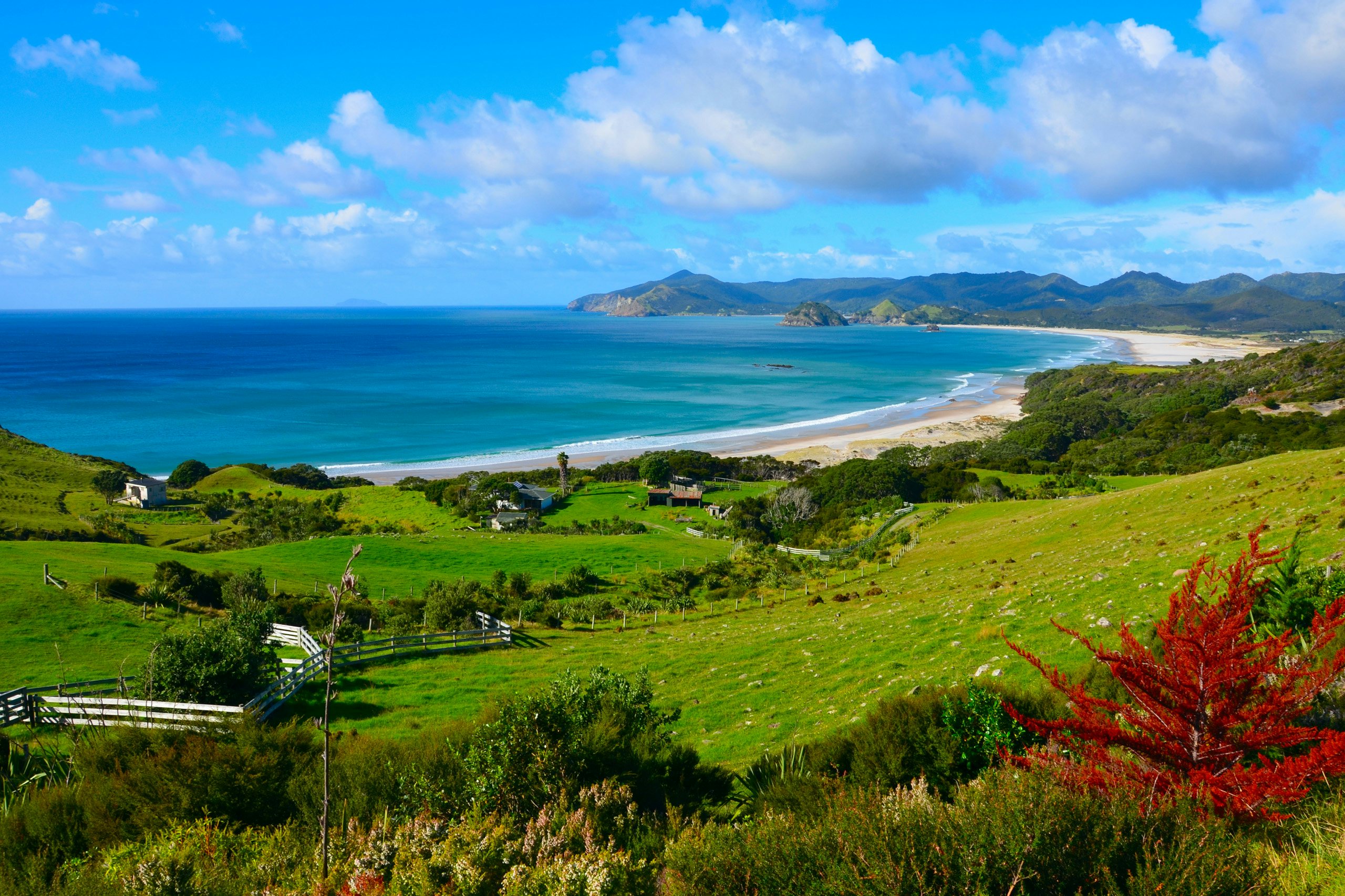 New Zealand Yacht for Charter - Coastline of Great Barrier Island, New Zealand
