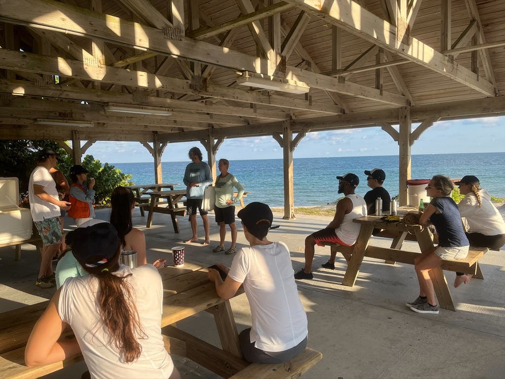 NoJo beach clean up dec 21