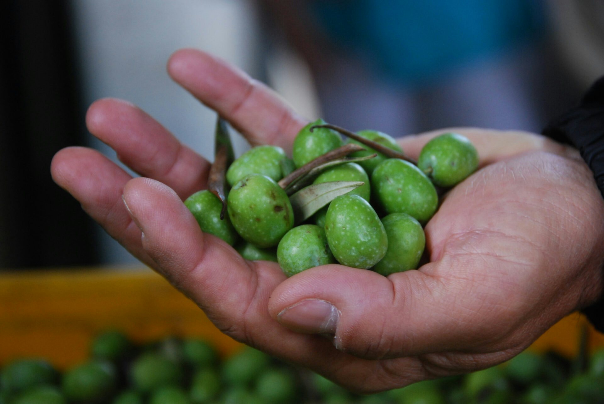 Olives