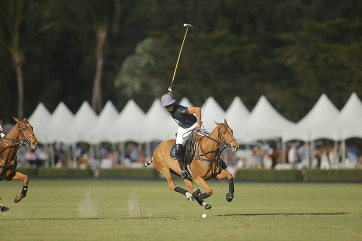 Palm beach polo with a man on a horse on the field in front of white tents hitting the ball