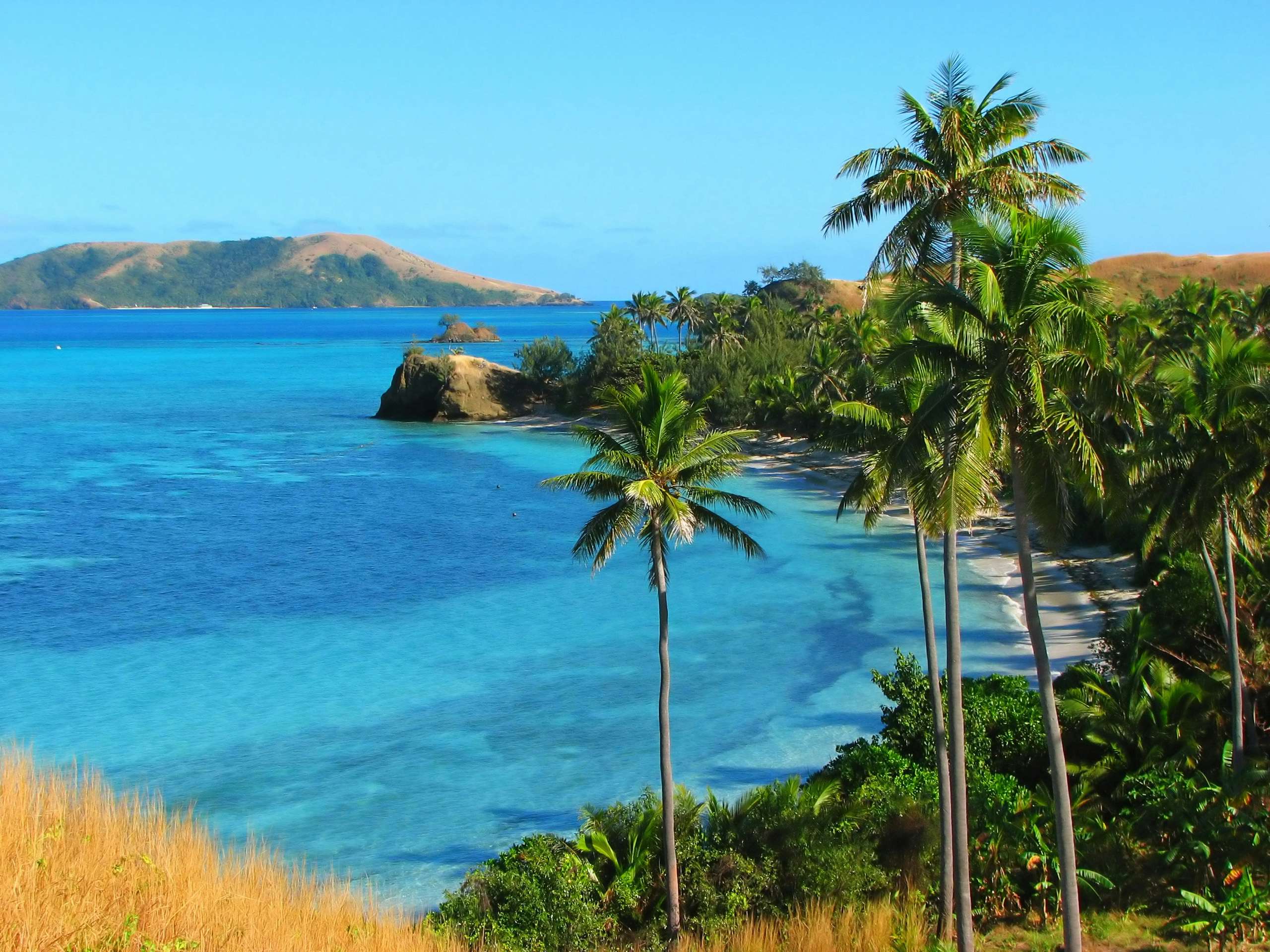 Tropical coastline with palm trees overlooking the clear blue waters of Fiji.