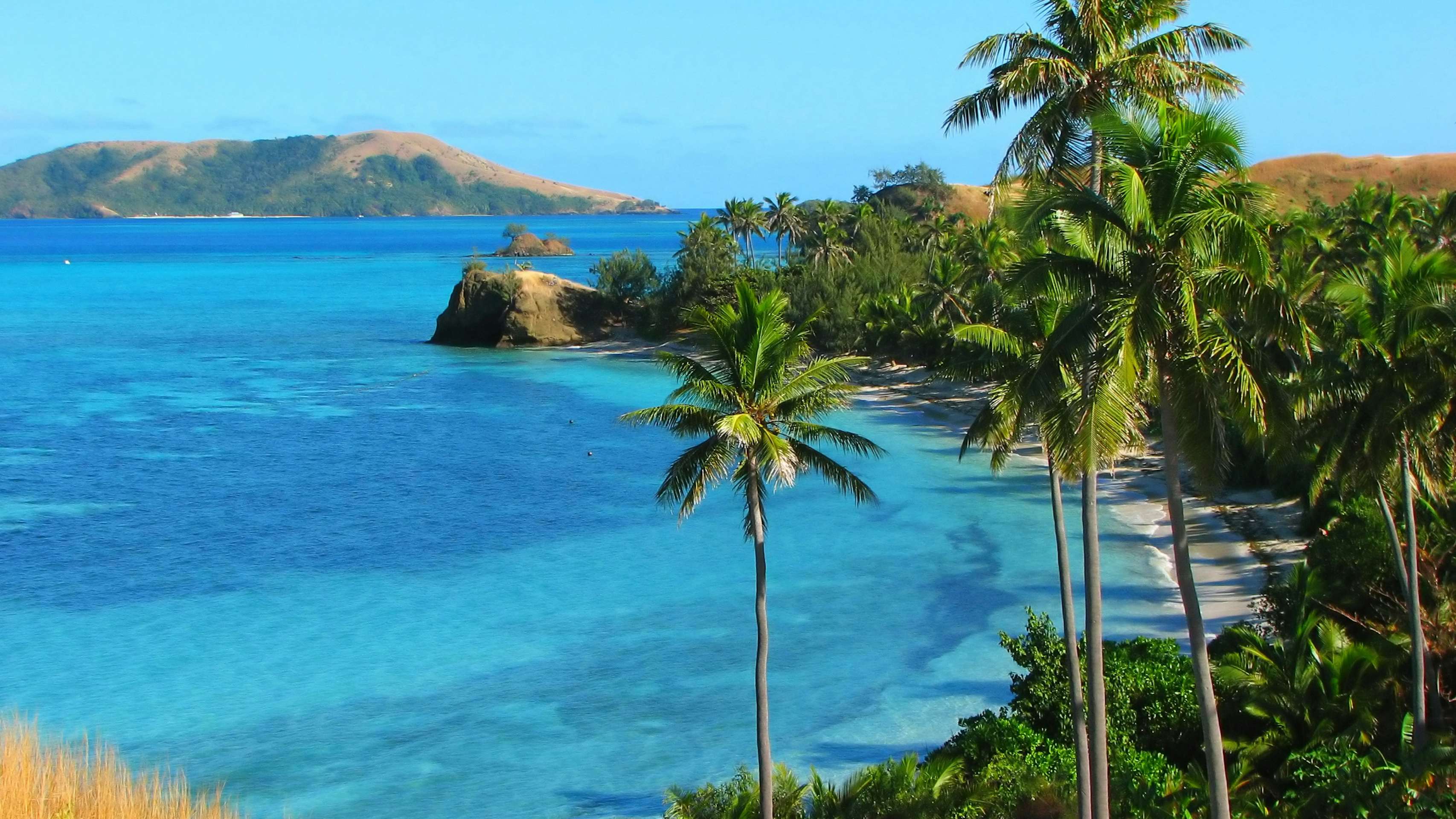 Fiji Yacht Charter - Tropical paradise in Fiji with blue waters and stunning palm trees
