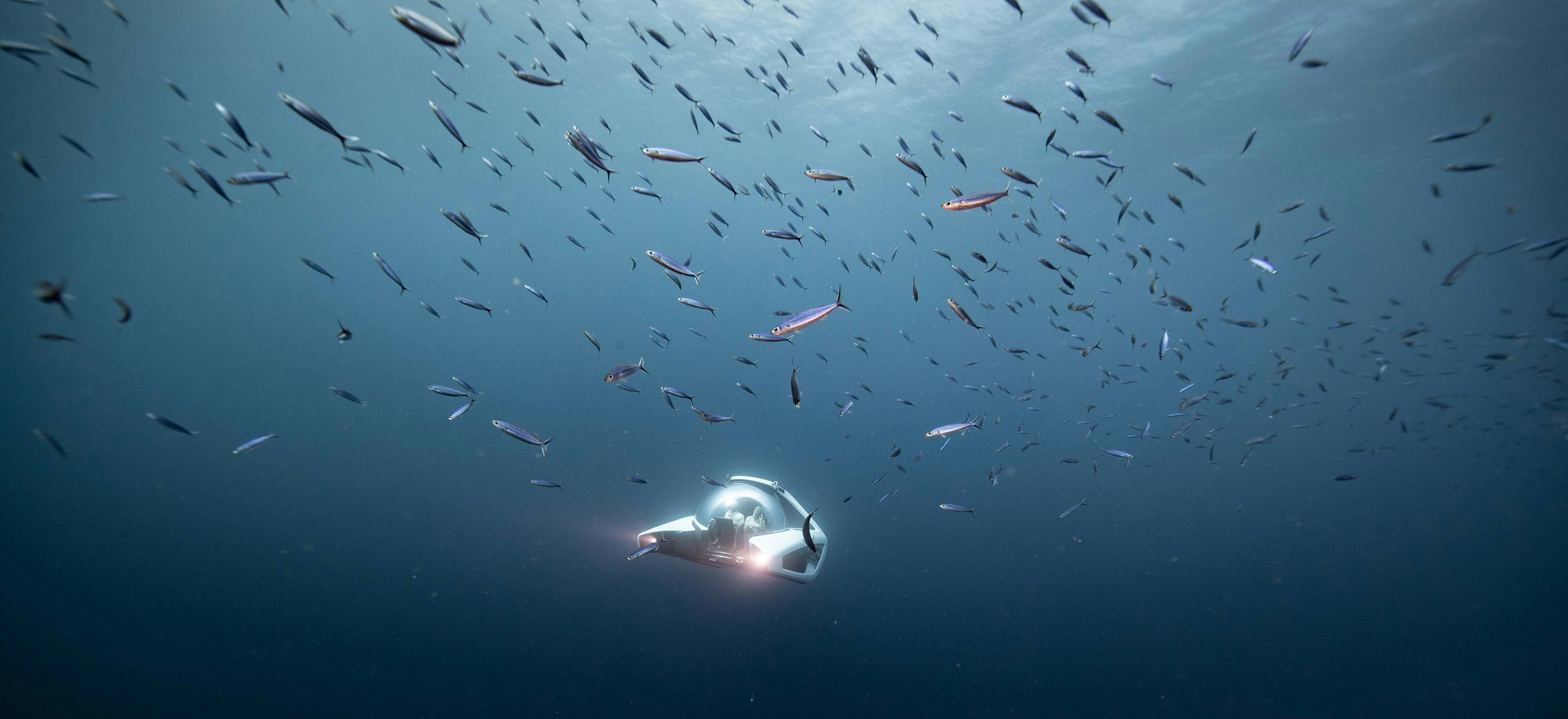 UBoat Worx NEMO submarine in action under the water with fish