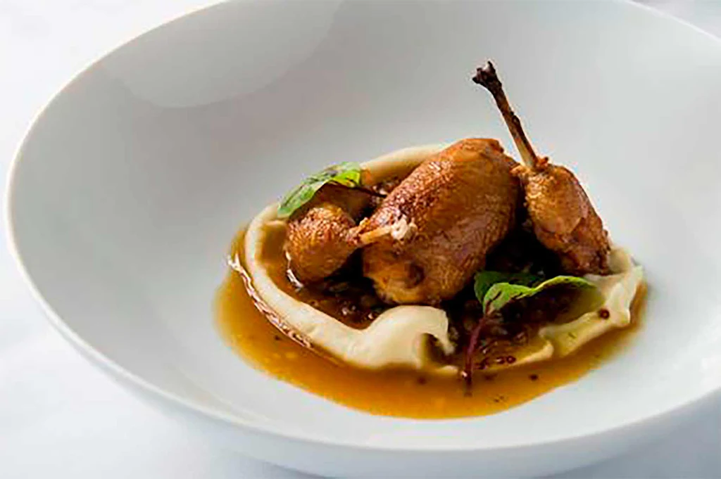 Catalina Dish