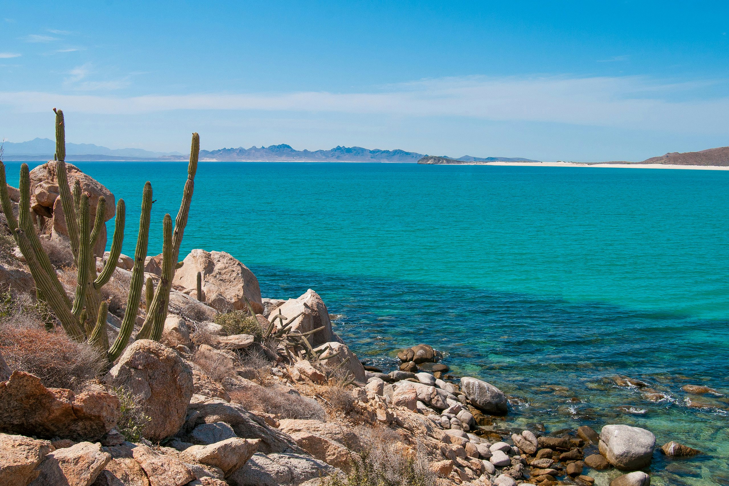 Isla Espiritu Santo Yacht Charter - Western Mexico_Isla Espiritu Santo with cactus and rugged, rocky terrain against turquoise blue waters