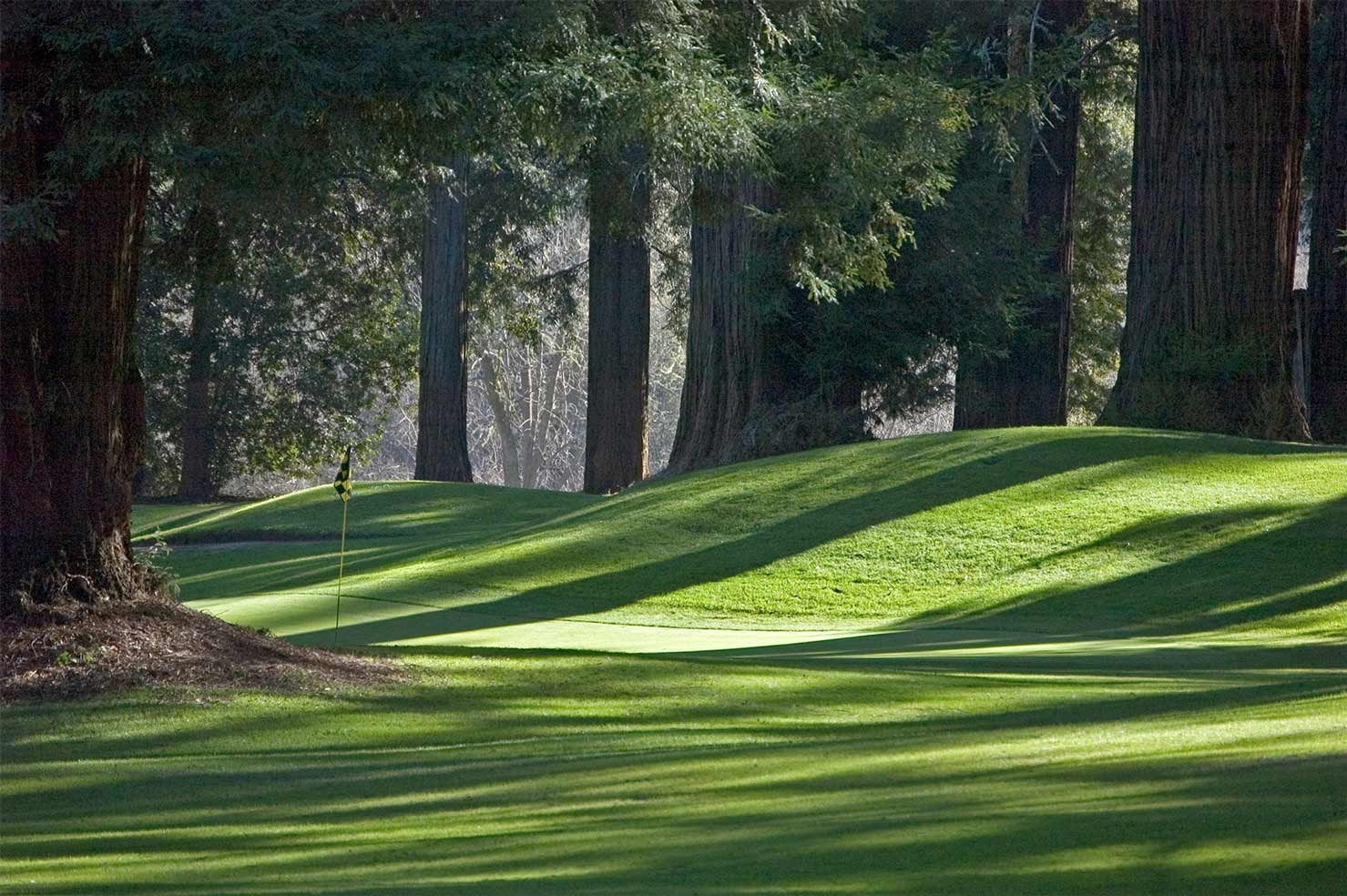 Golf Course in Sonoma County