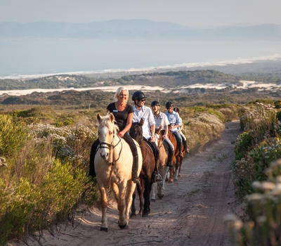 Grootbos Private Nature Reserve Horseback Riding