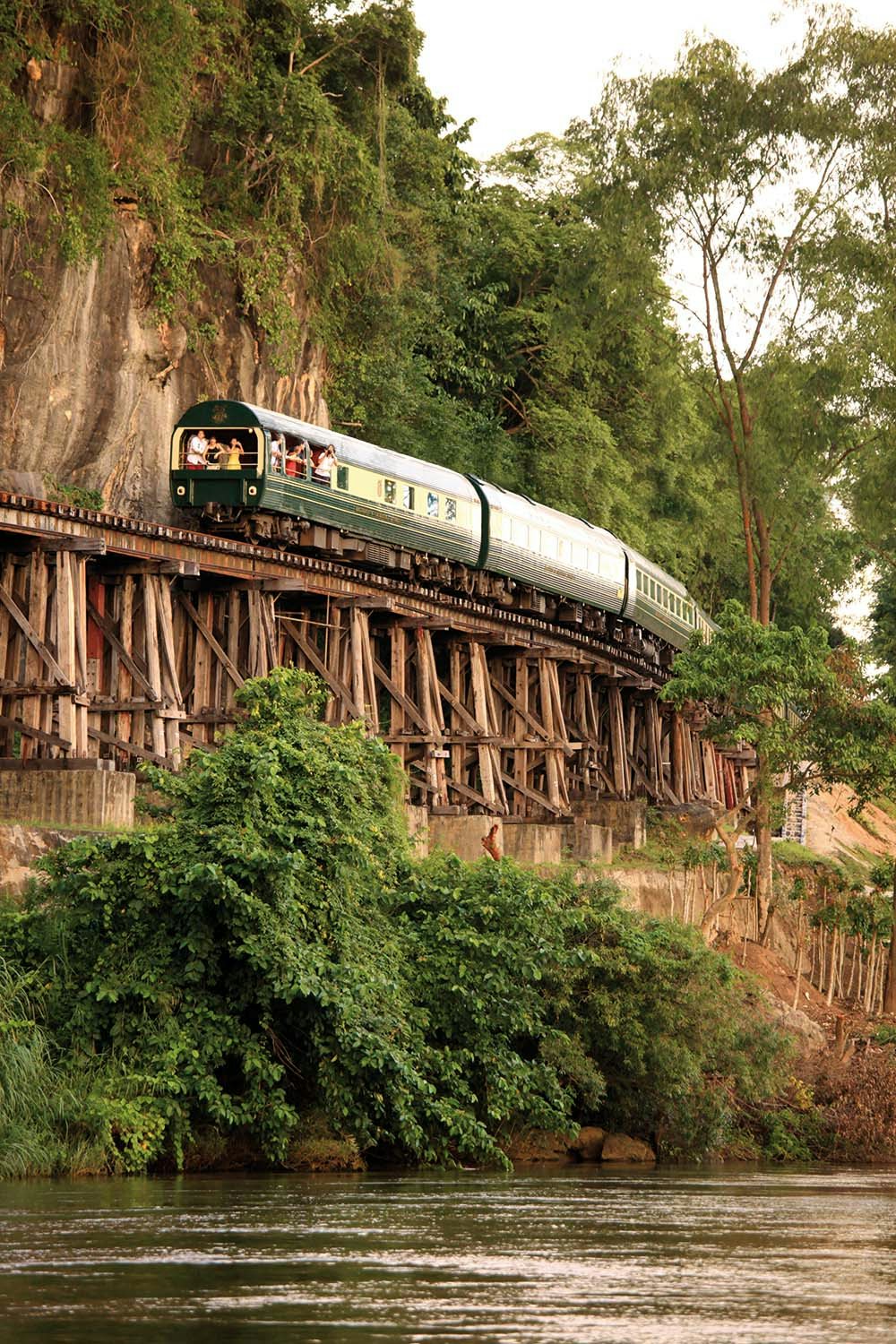 oriental express in the forrest
