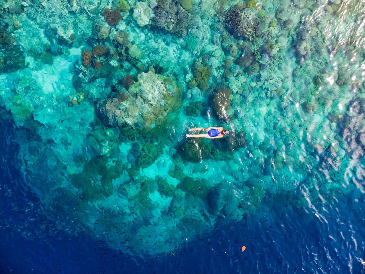 Aerial,Top,Down,People,Snorkeling,On,Coral,Reef,Tropical,Caribbean