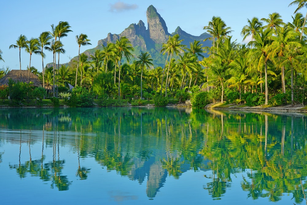 View of Tahitian landscape with palm trees and water
