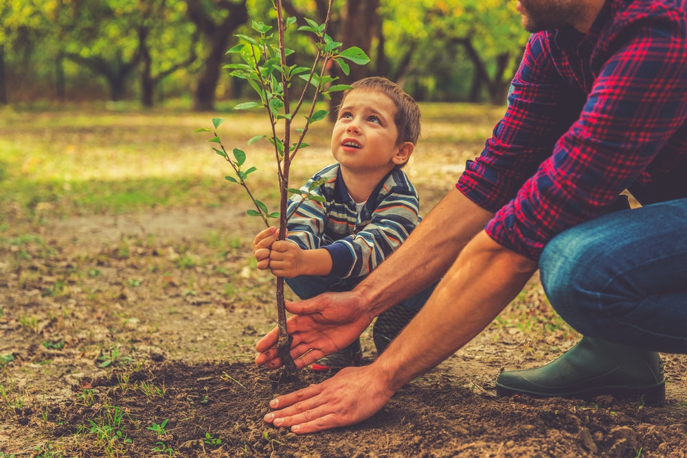 Child planting a tree with help