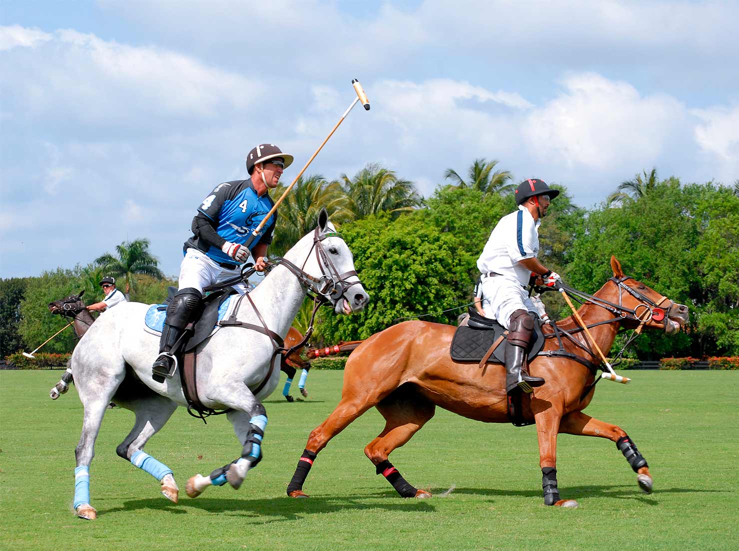 International Polo Club Palm Beach