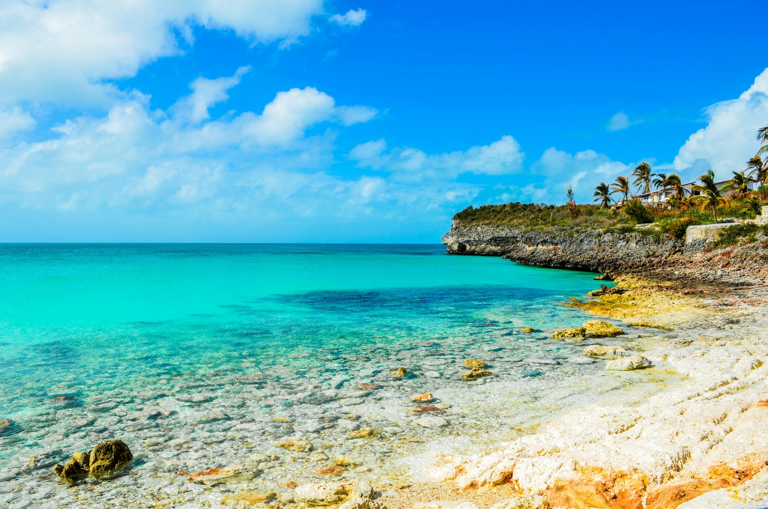 Rocky Shoreline on Eleuthera