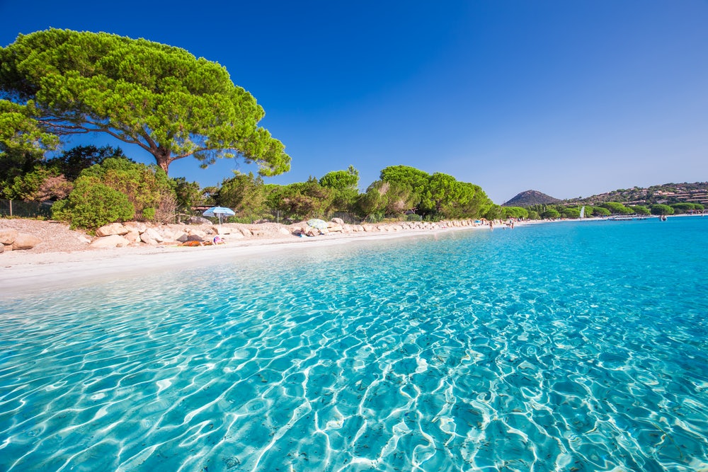 Sandy,Santa,Giulia,Beach,With,Pine,Trees,And,Azure,Clear