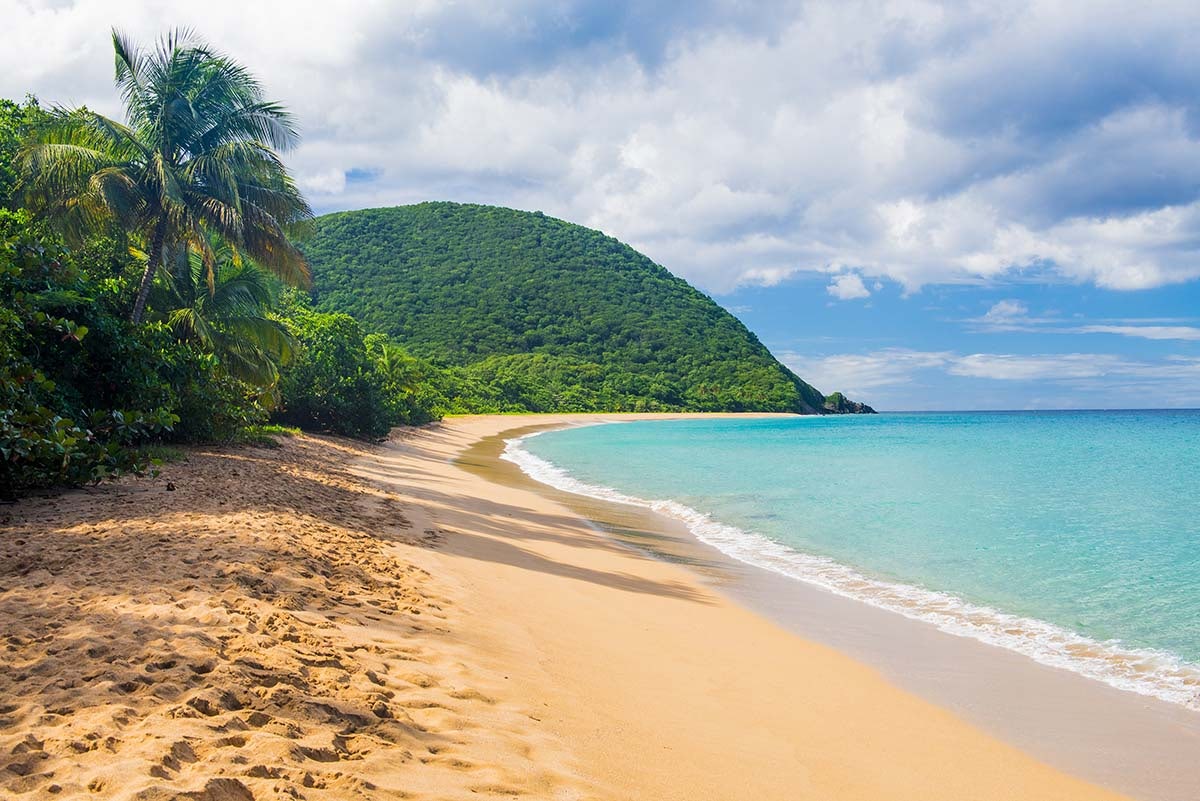 scenic image of Guadeloupe, a beach in Guadeloupe, lush greenery, turquoise waters and idyllic Caribbean destination