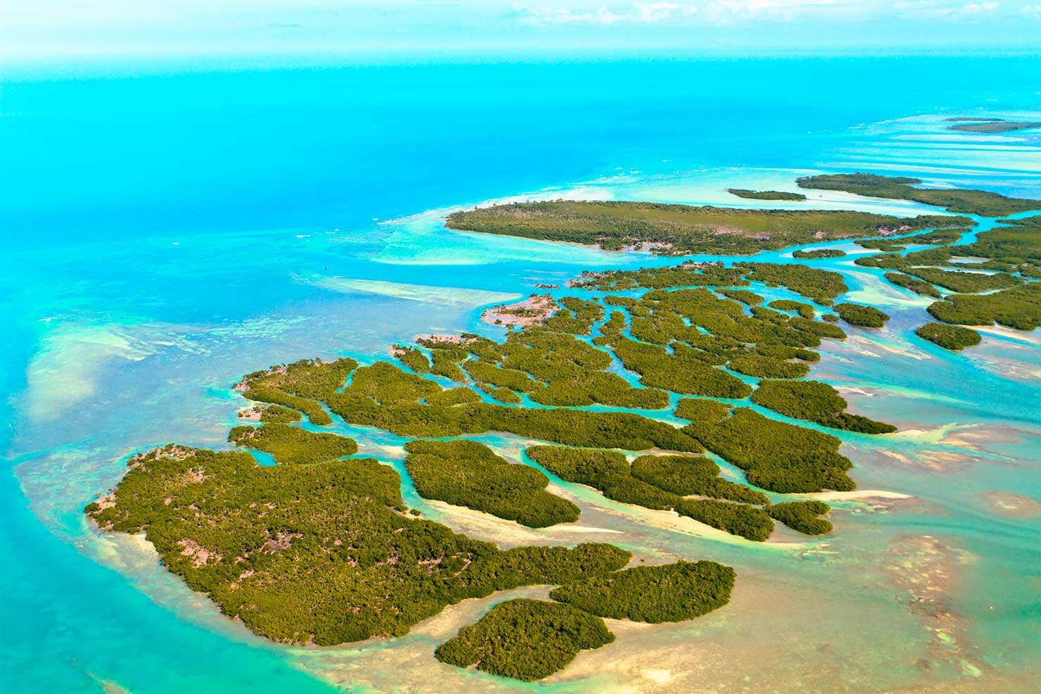 The Florida Keys