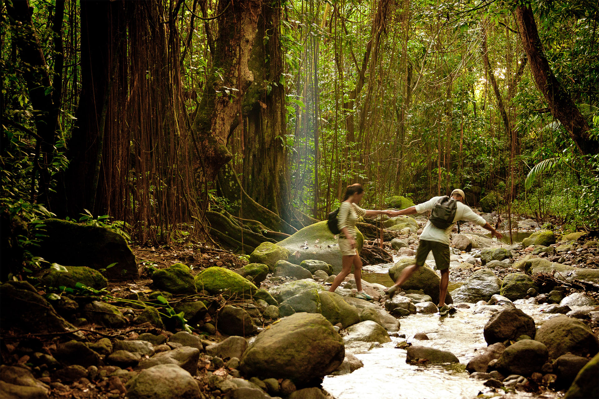 Hiking through St. Kitts’ lush rainforest